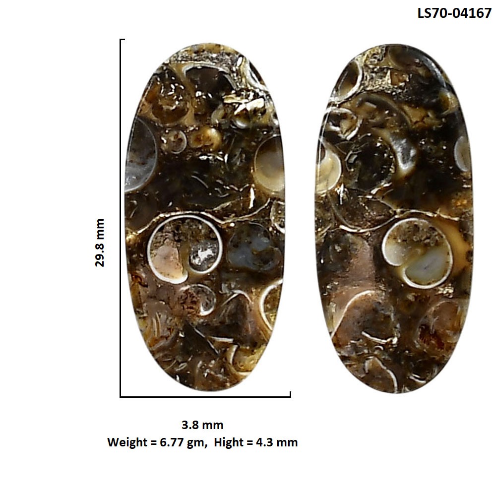 Natural Turtella Jasper Pair 3.8×29.8×4.3 mm Oval Polished Gemstone LS70-04167