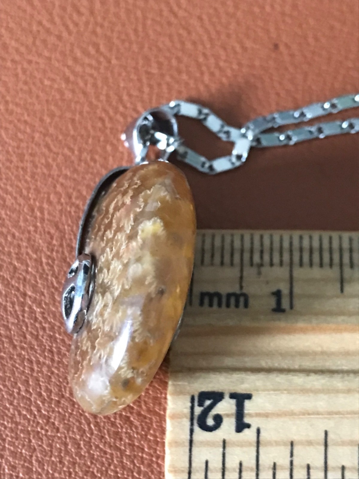 Ammonite Fossil Spiral Pendant WITH Necklace – Polished Prehistoric Shell