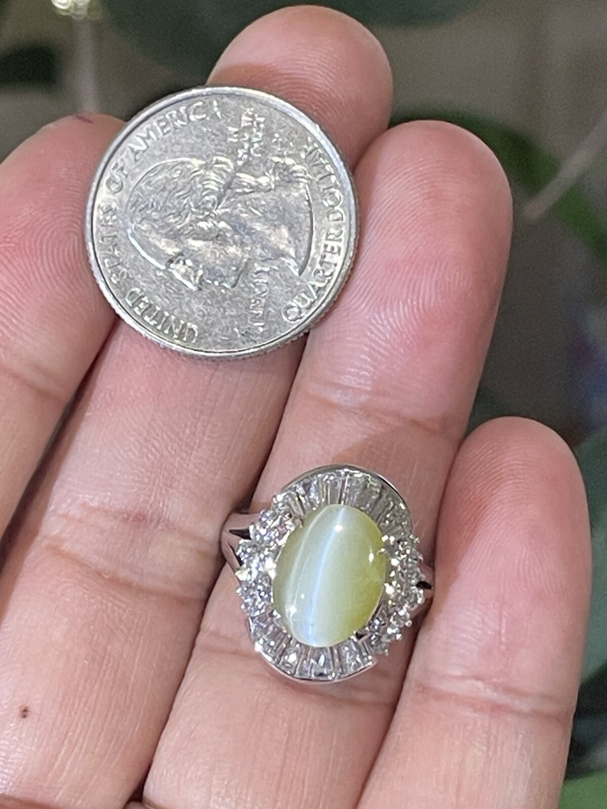 GIA 3.29ct Natural Chrysoberyl Greenish Yellow Cats Eye Ring 1.38ct diam,pt900