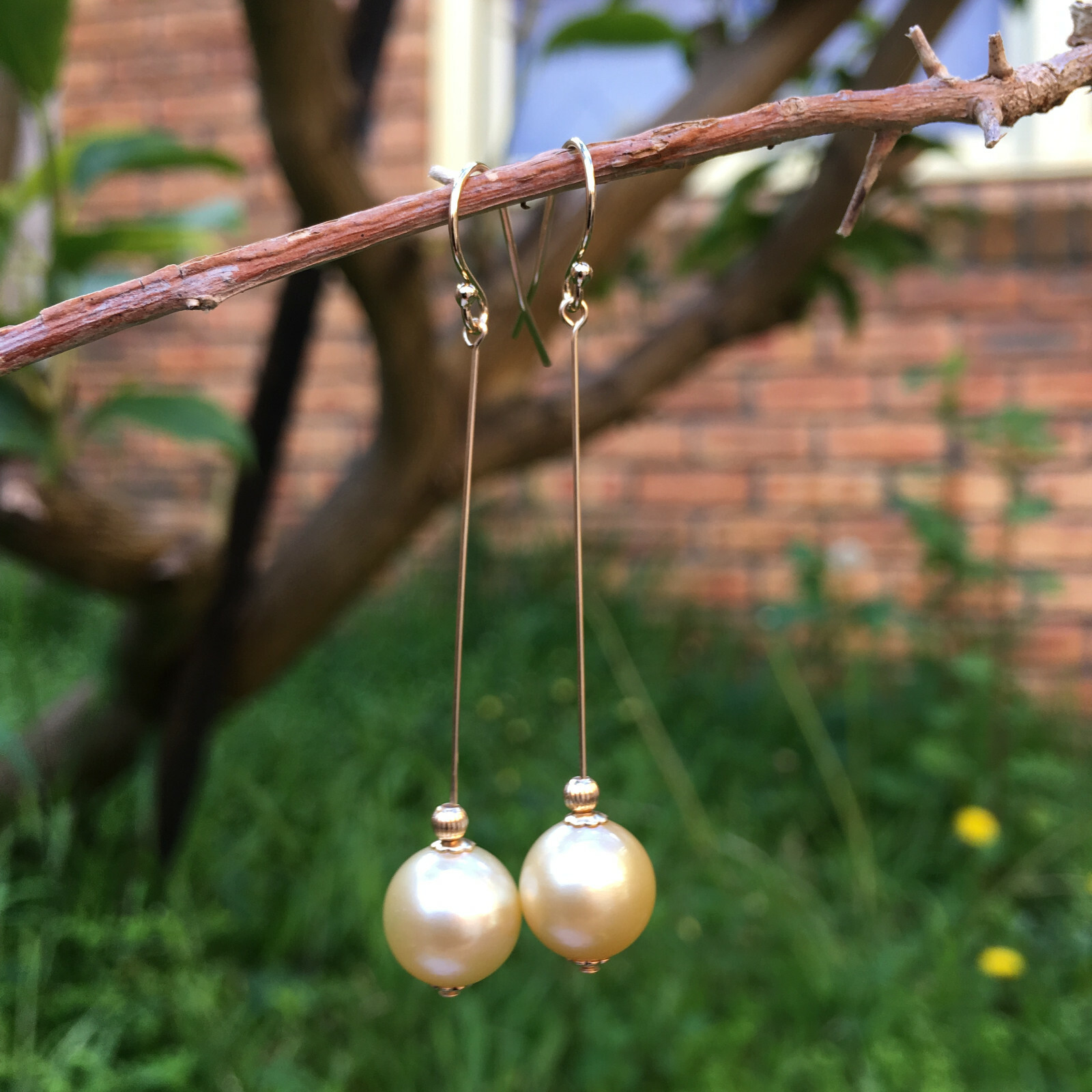 9.5-10mm natural high luster Australia gold seawater Pearl 14KGF Earring 57mm #2