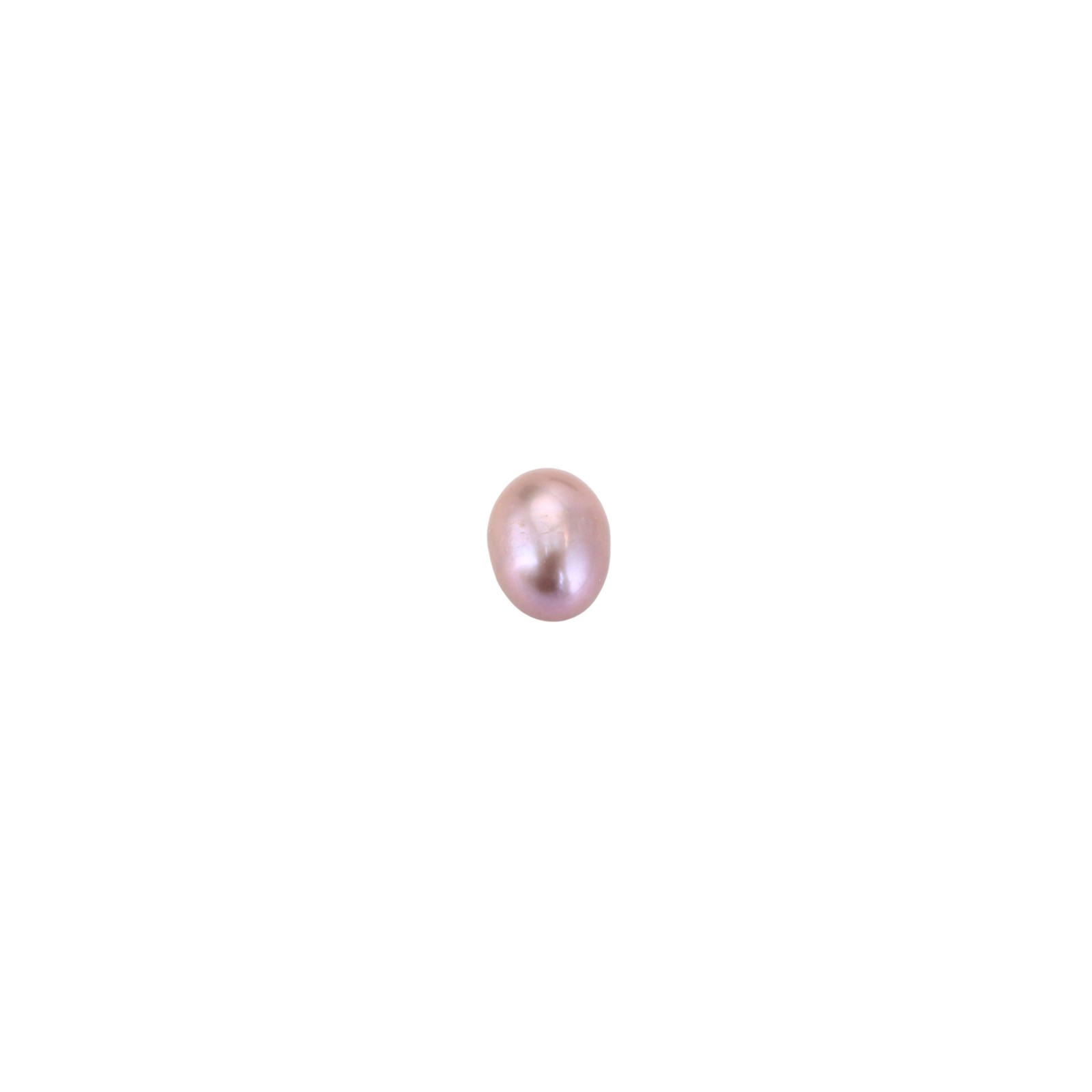 Pearl Clam Necklace With Stainless Steel Chain & Brass Fashion Jewelry For Women