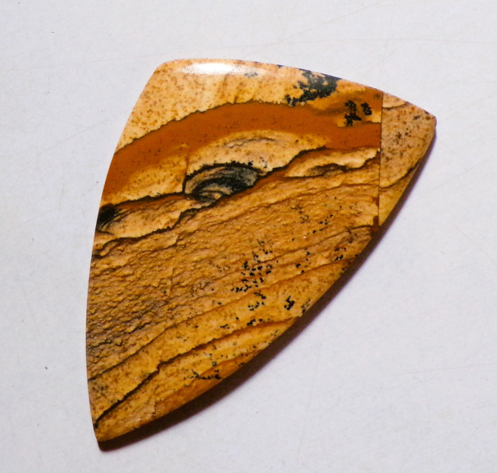 40.65 Cts Natural Picture Jasper Cabochon Loose Gemstone 52.5X31X4MM