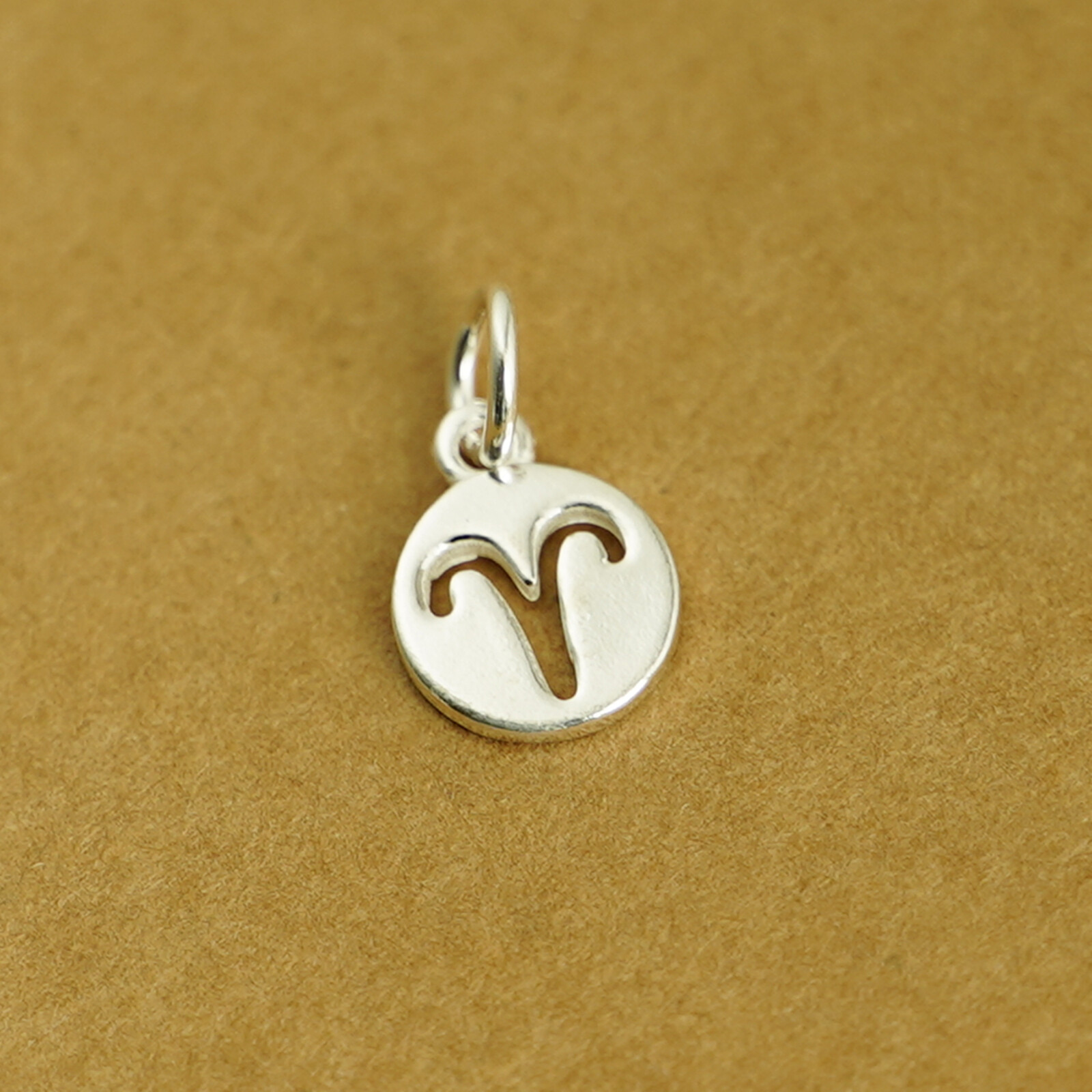 Sterling Silver 12-Month Horoscopes Zodiac Circle Charm Pendant