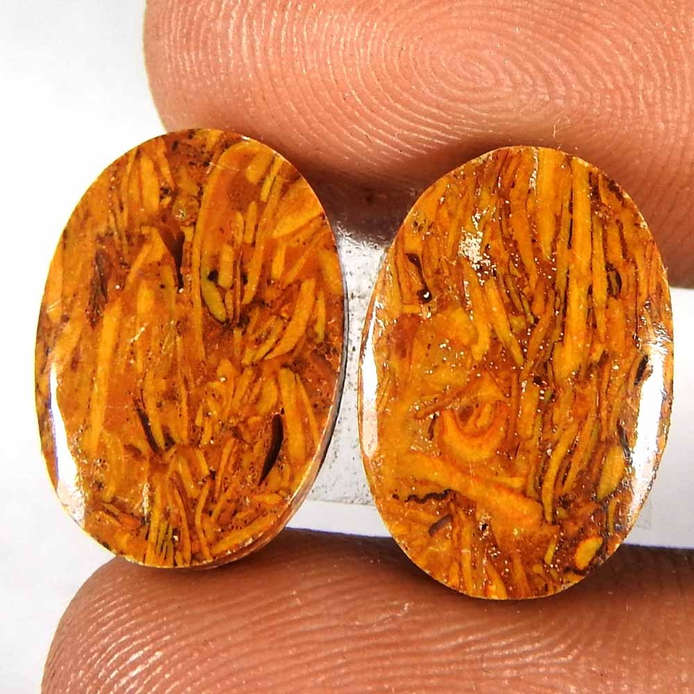 13.90Cts100%Natural Best Grade Mariam Jasper Oval Pair Cabochon Gemstone