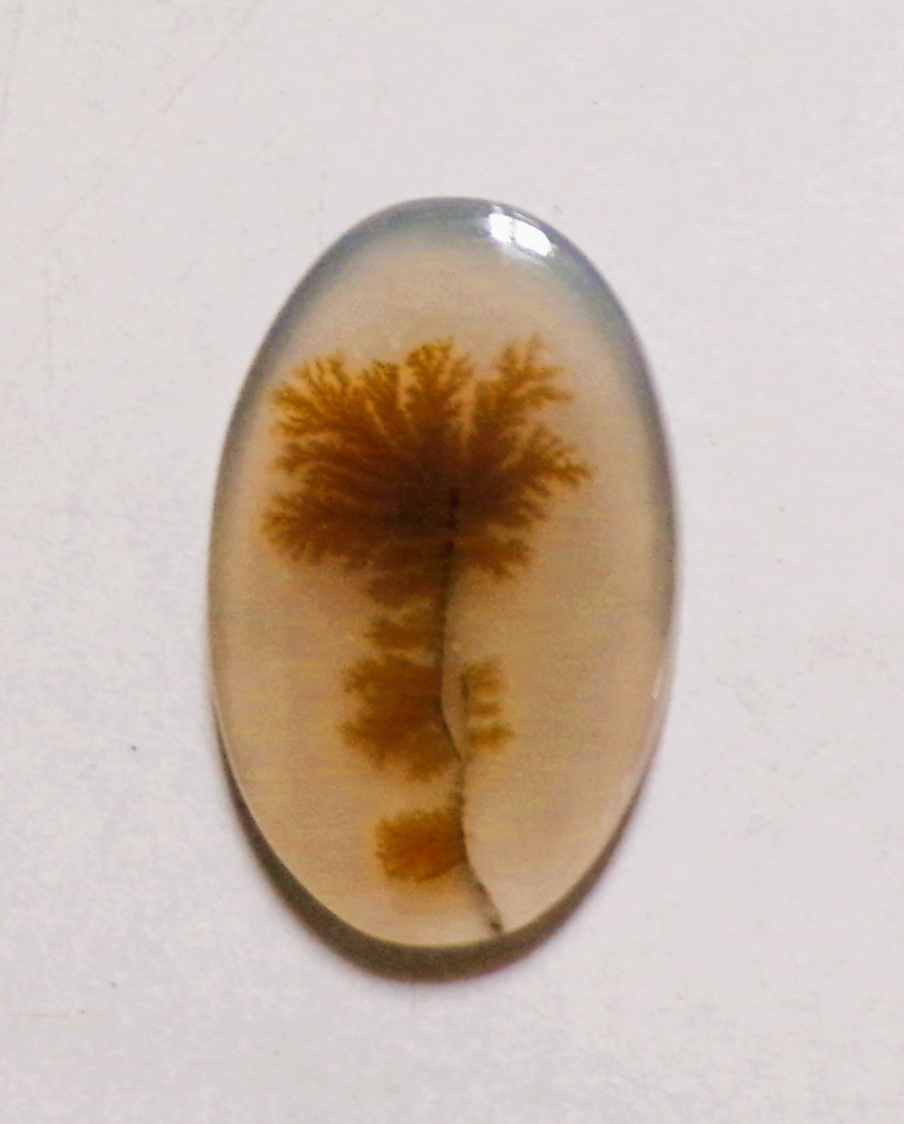 12.45 Cts Natural Shazar Dendritic Agate Cabochon Loose Gemstone 27X17X3MM 77