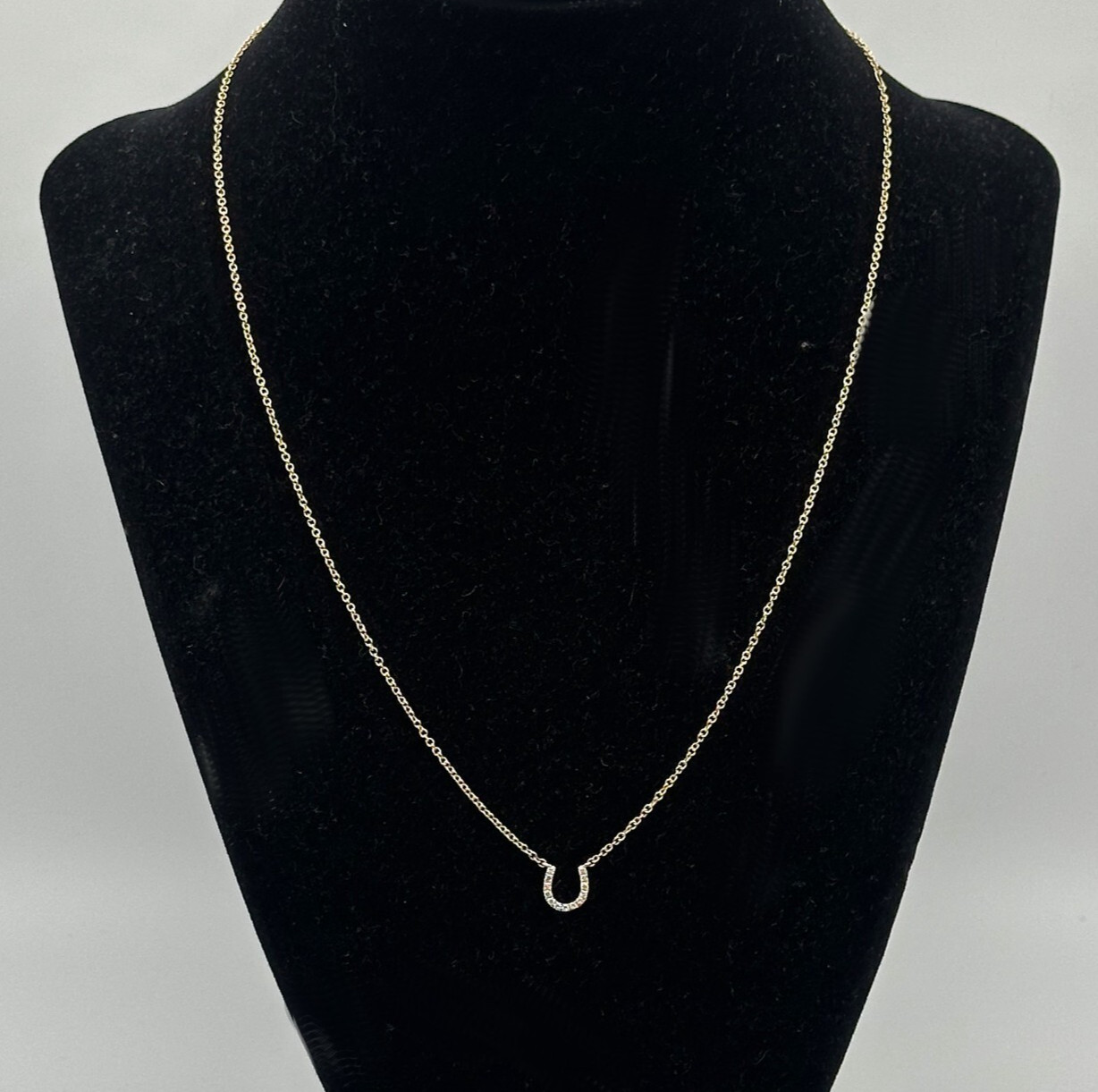 14k Gold 18″ Necklace, Horseshoe center piece set with 0.08cts of Diamonds 2g