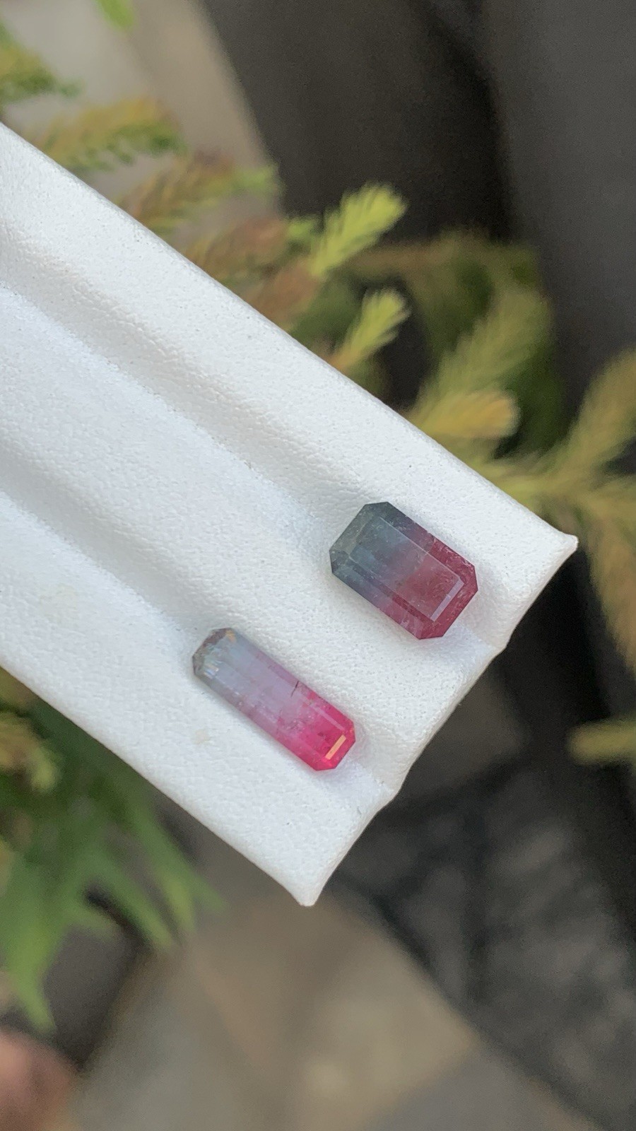 5.67 CRT Bicolor Tourmaline Natural Earth Mined Unheated Faceted