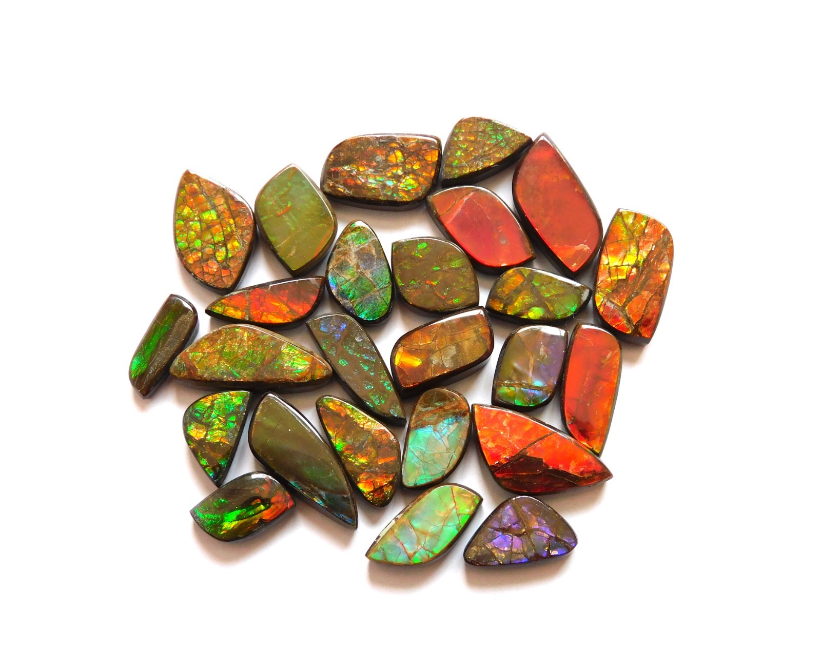 124.10 Cts Natural Ammolite 25 Pcs Lot Loose Cabochon Gemstone CN02