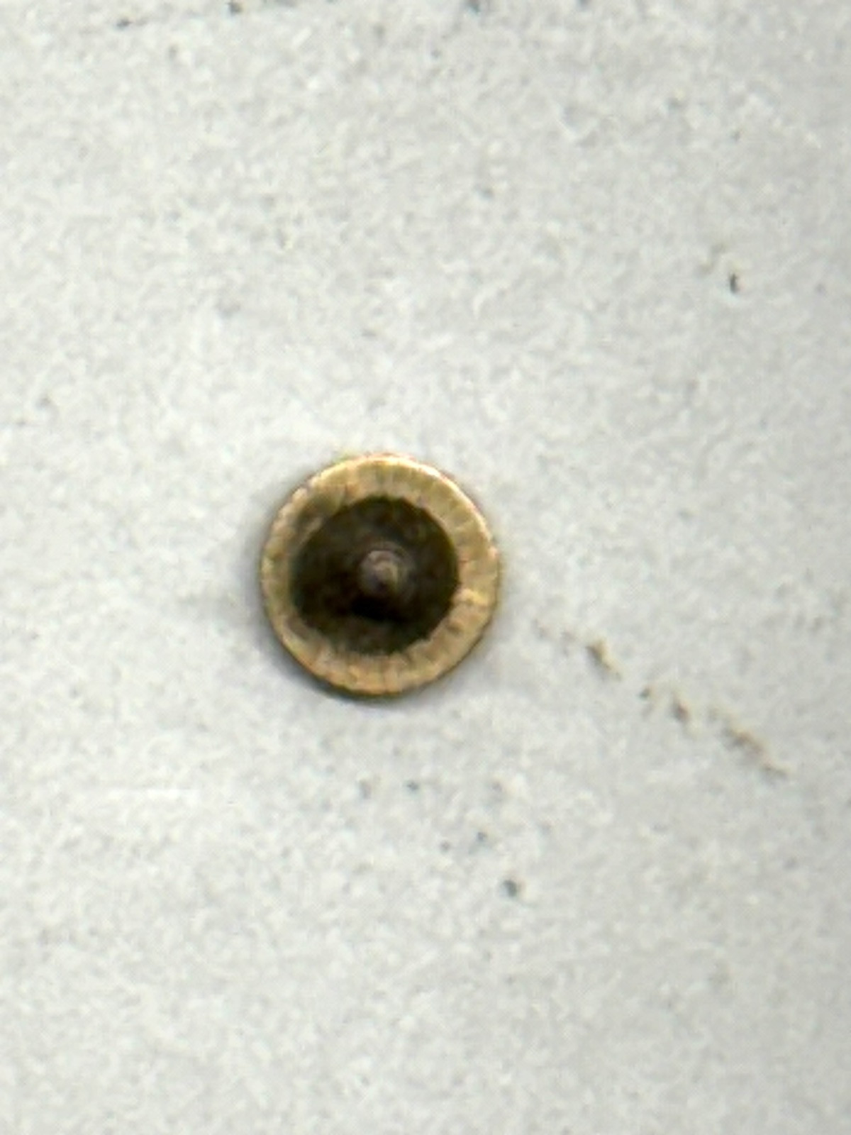 Gruen Watch Stem Gold 4.77 mm