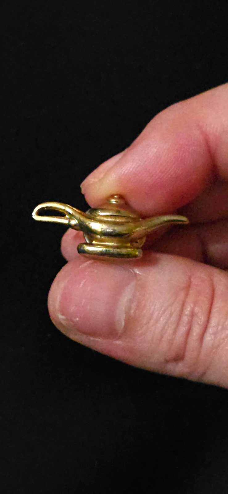 Aladdin Gold Tone Lamp Lapel Pin & Brooch with Clutch Back, Floral Theme