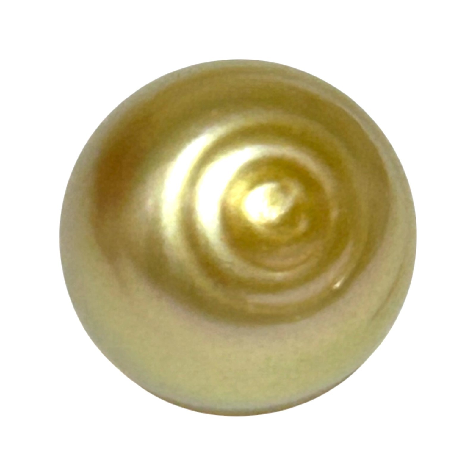 Giant 15.2 x 16.6mm 26.7 Carats Natural Golden Philippines South Sea Pearl Loose