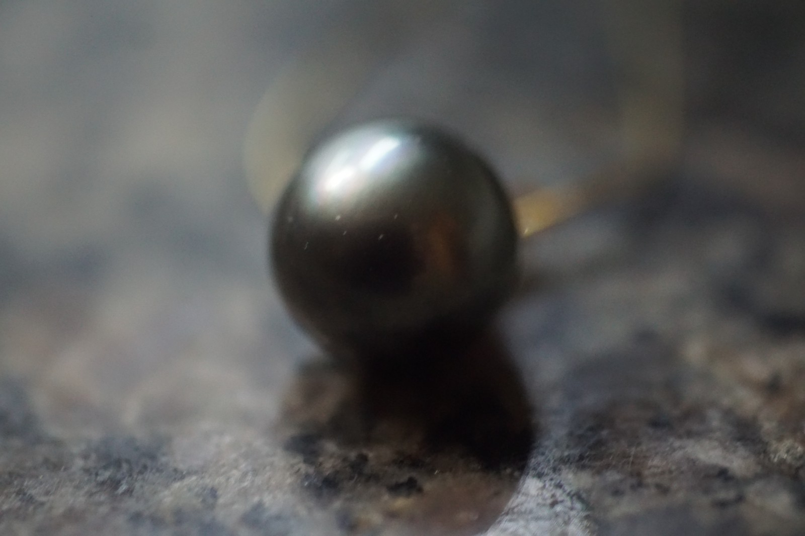 14KT 13.0mm AAA Medium Gray Genuine Tahitian Pearl Pendant NEW