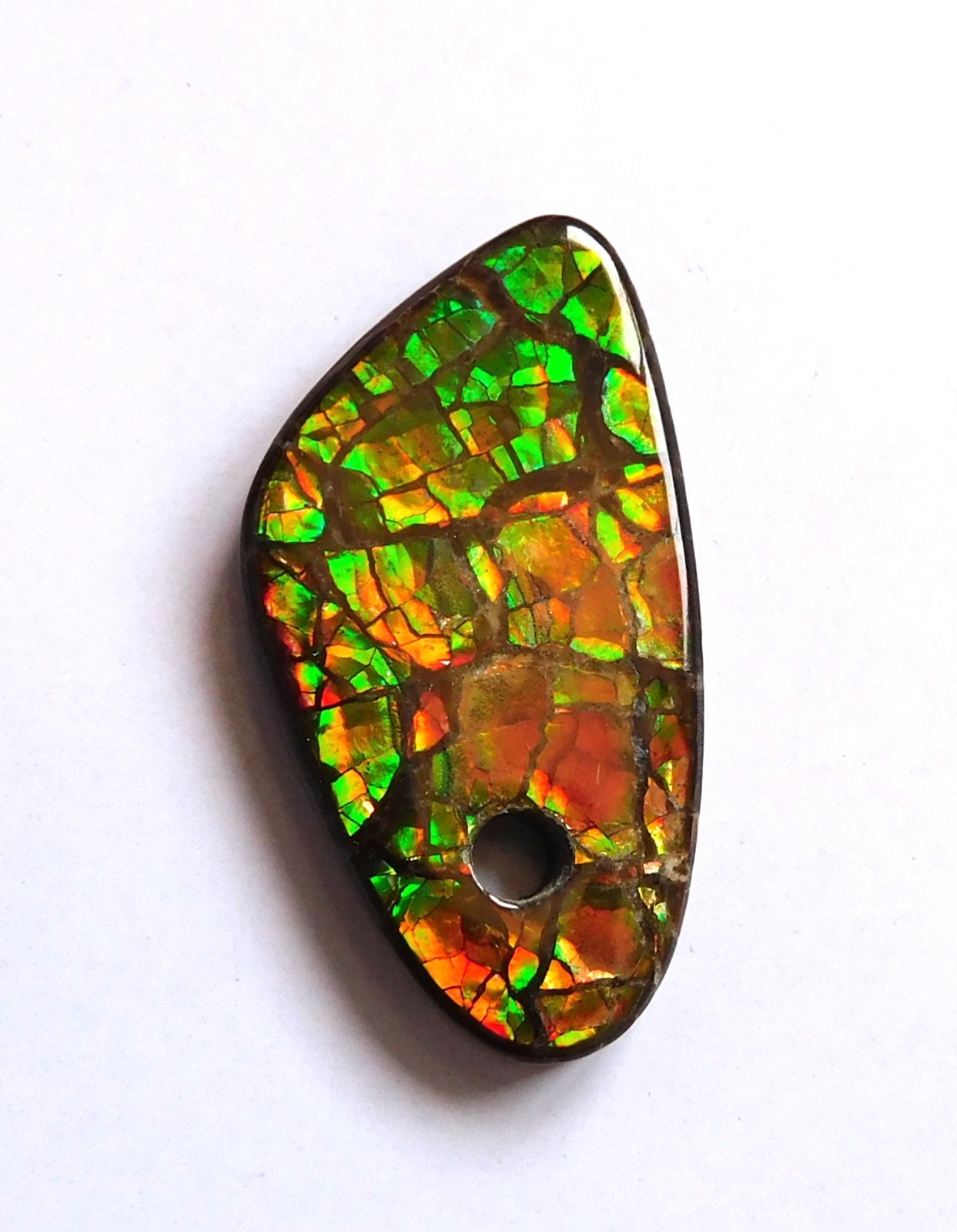 20.50 Cts Natural Canadian Ammolite Donut Gemstone 29.9X15.8X4MM LH16