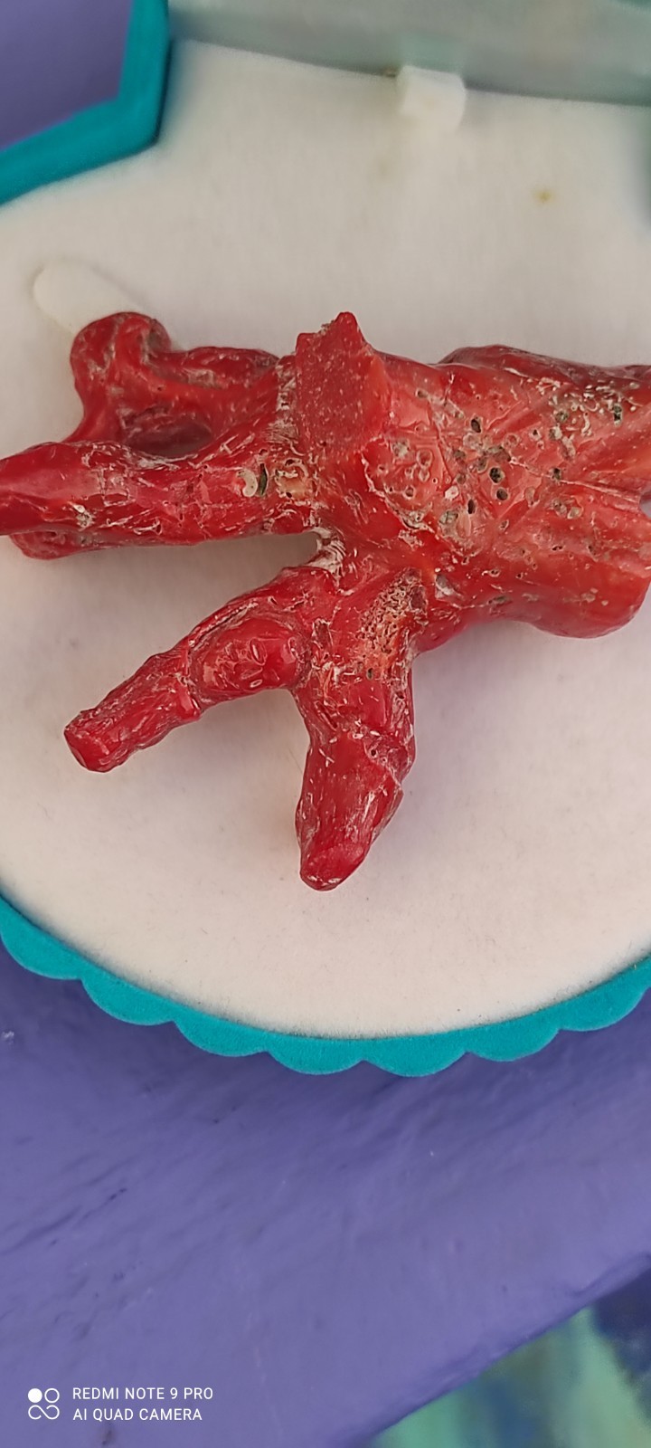 Natural Red Coral of Sardinia