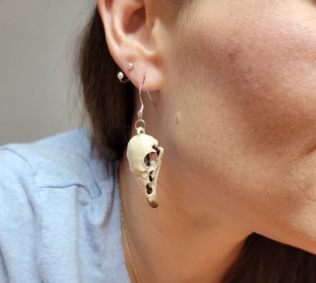 Turkey Vulture museum grade 3D replica skull bone earrings euromount style new