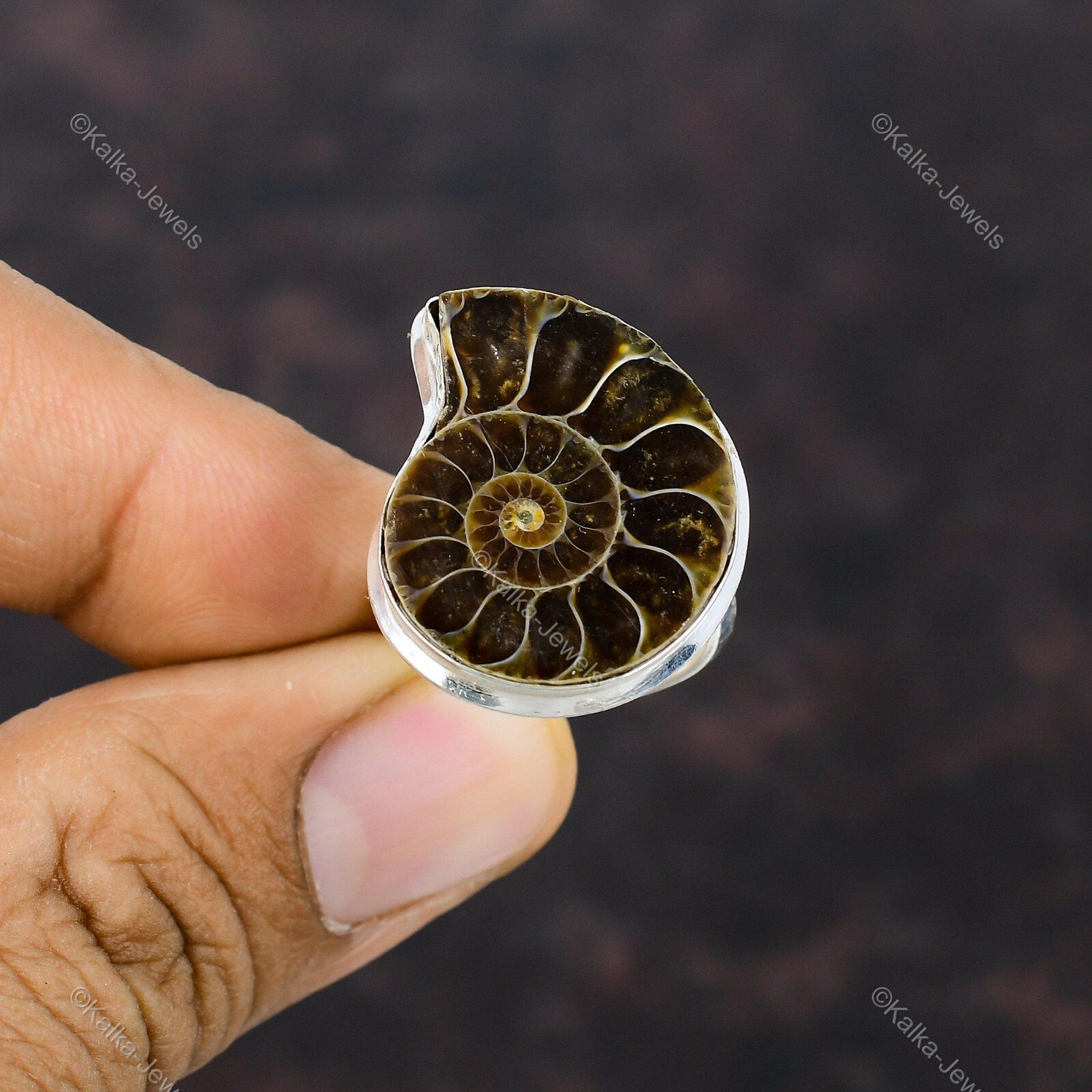 Natural Ammonite Fossil Gemstone Statement Adjustable Ring 925 Sterling Silver