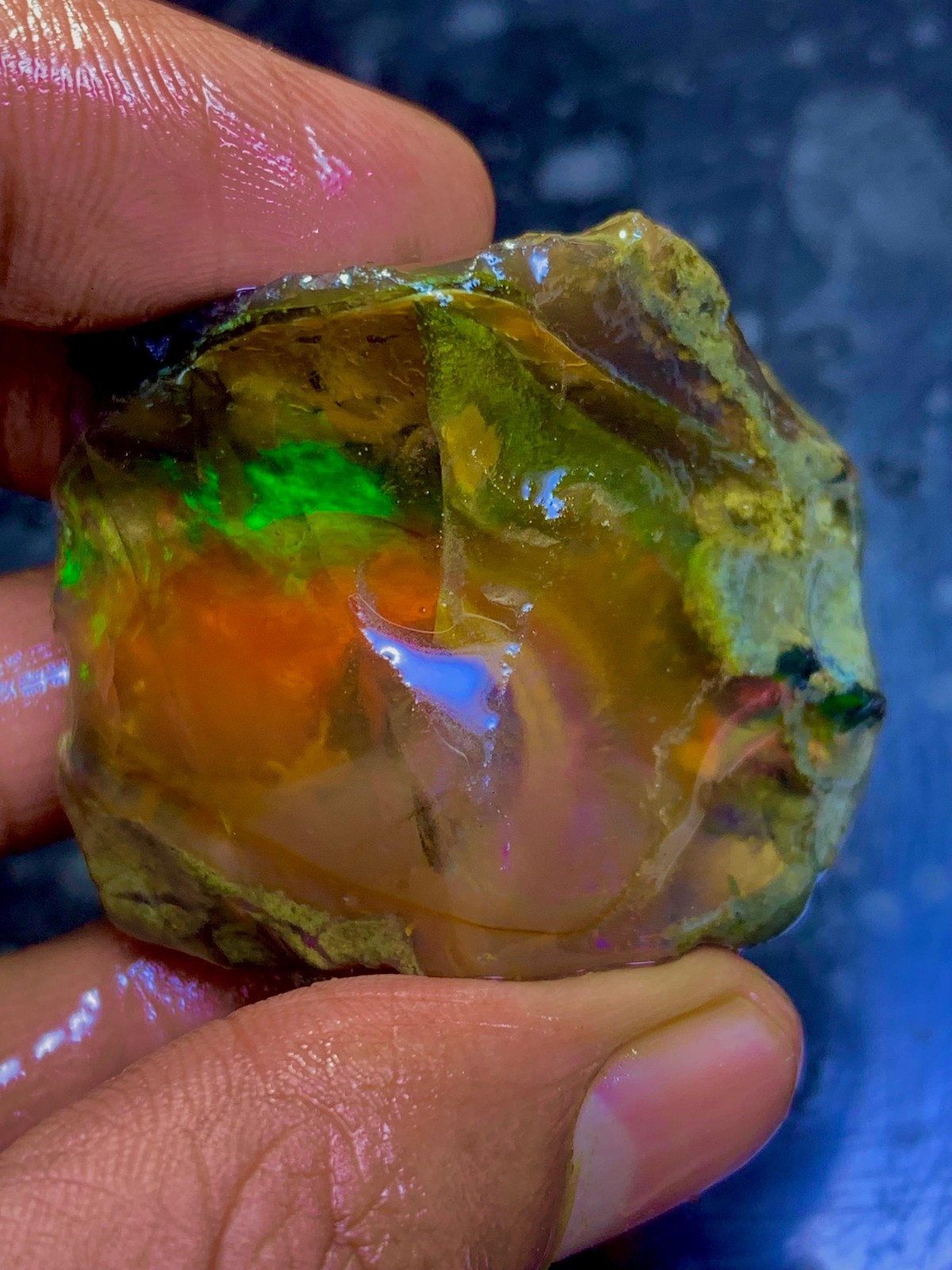 173 Ct Large Ethiopian Boulder Opal Rough Multi Fire natural Play Of Color Raw