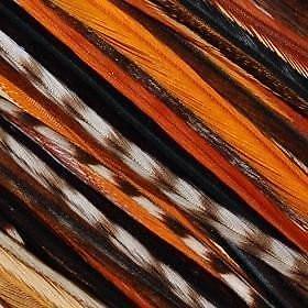 5 Feathers Rainbow Remix 6-12 Feathers Bonded Together At the Tip for Hair Exten