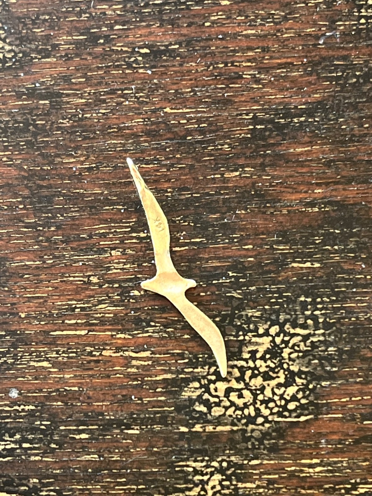 14K Solid Gold Seagull In Flight 40mm x 10mm Pendant Charm 16 inch Necklace