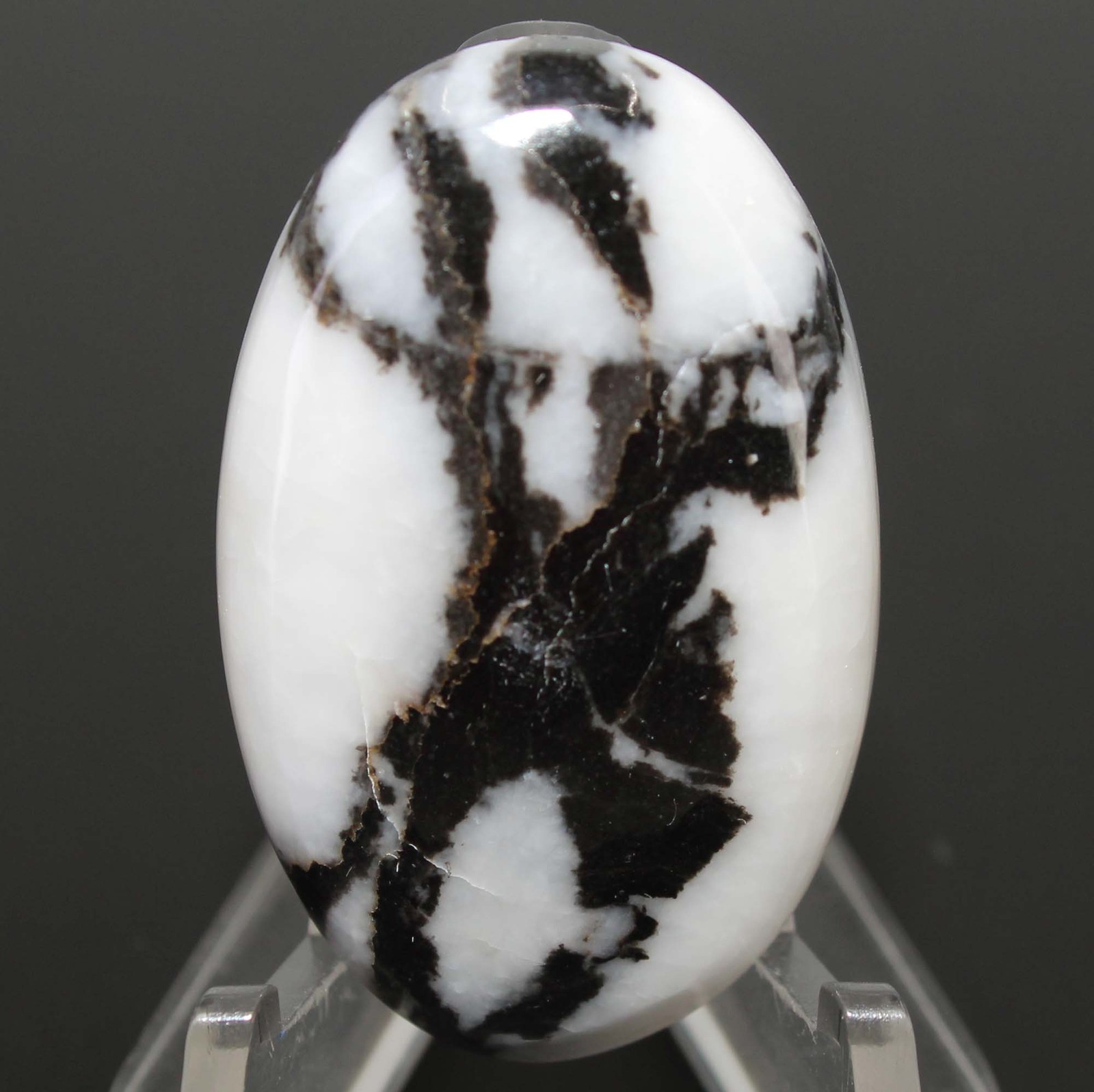 42.10 Ct Natural White Buffalo Jasper Oval Cabochon Loose Gemstone 35x22x6 mm