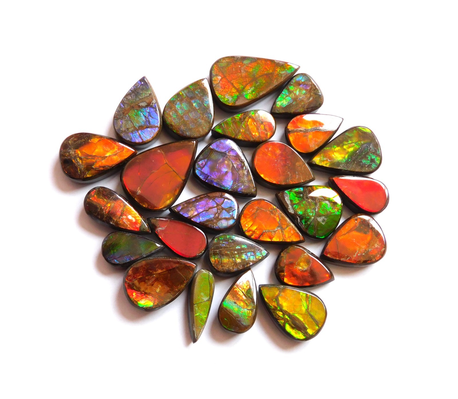 113.65 Cts Natural Ammolite 25 Pcs Lot Loose Cabochon Gemstone CN04