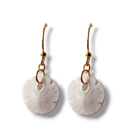 Genuine Sand Dollar Earrings