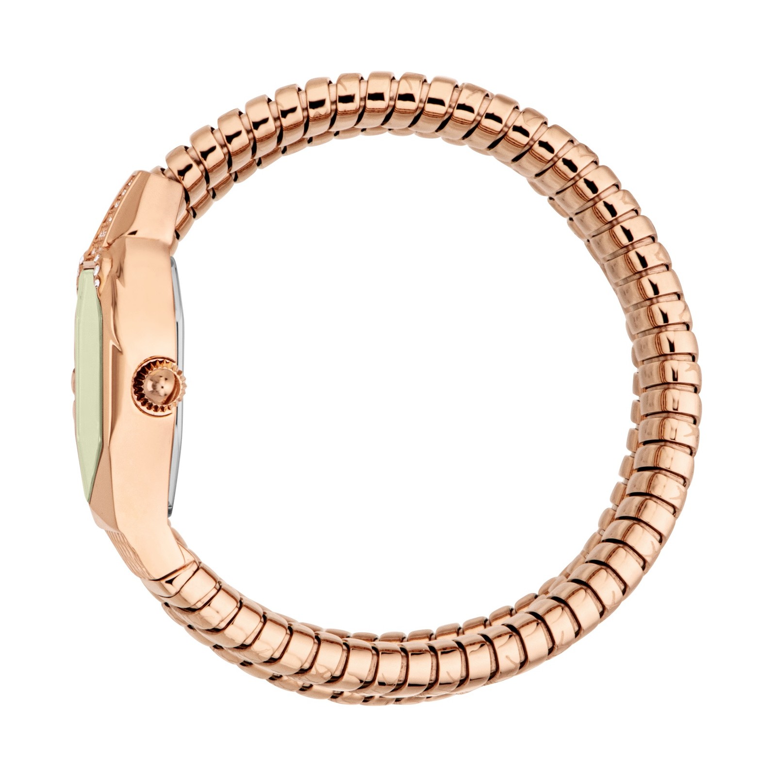 Just Cavalli Women’s Snake 22mm Quartz Watch JC1L370M0045