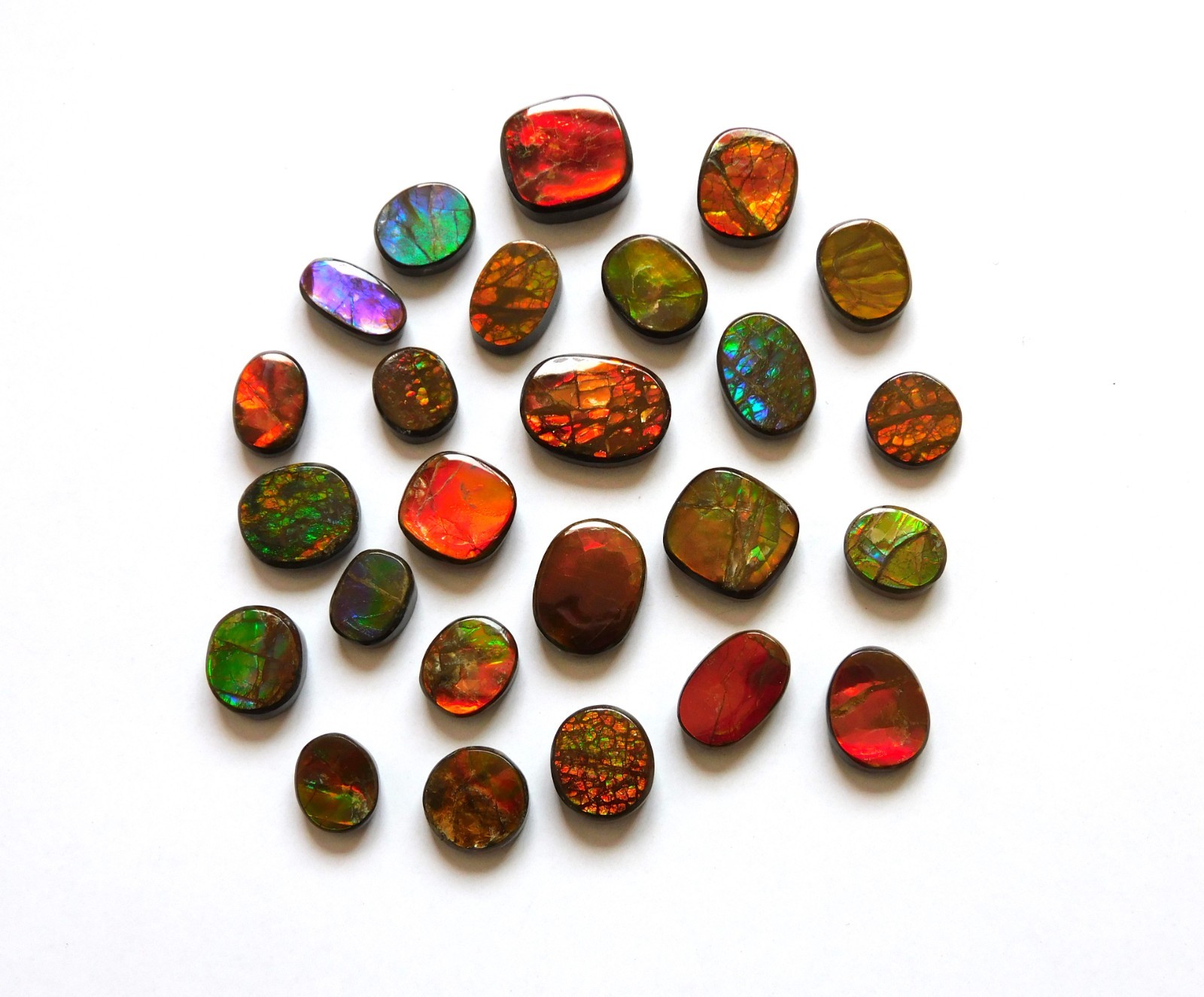 110.40 Cts Natural Ammolite 25 Pcs Lot Loose Cabochon Gemstone CN06