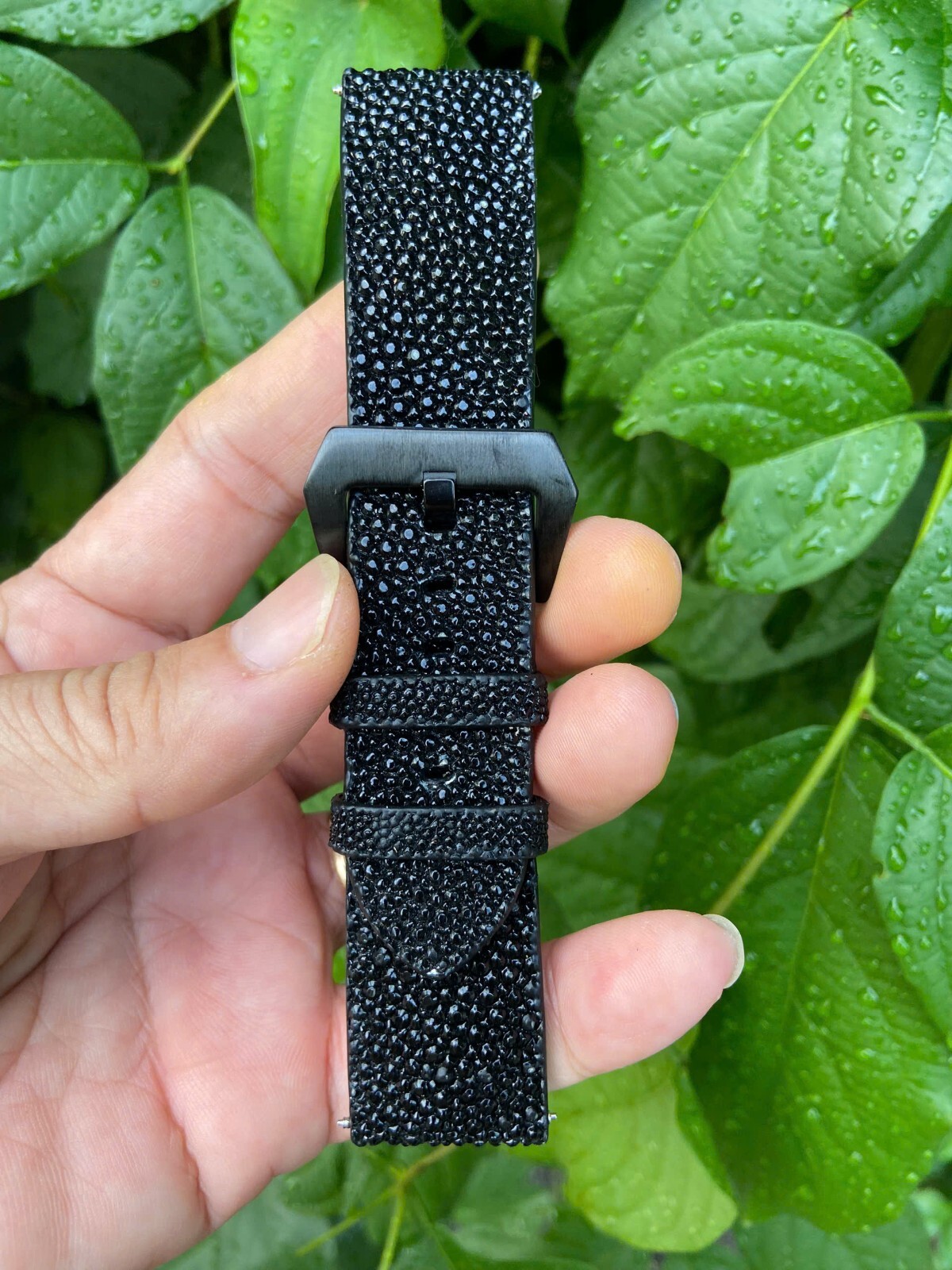 Black Stingray Leather skin Watch Strap Band 12 14 18 19 20 21 22mm 23 24mm 26mm