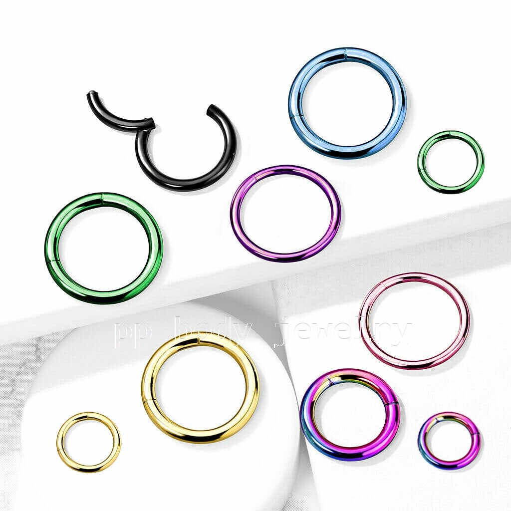 Hinged Seamless Segment Ring Cartilage Nose Hoop Labret Earring Septum