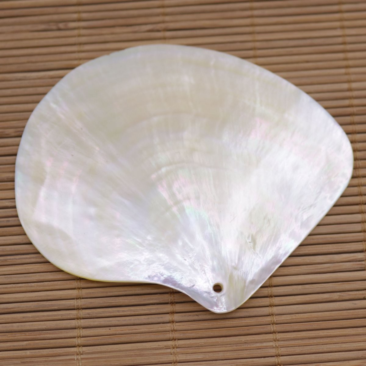 80mm-85mm Natuarl Golden Lip Shell Mother of Pearl Top Hole Charms Pendants