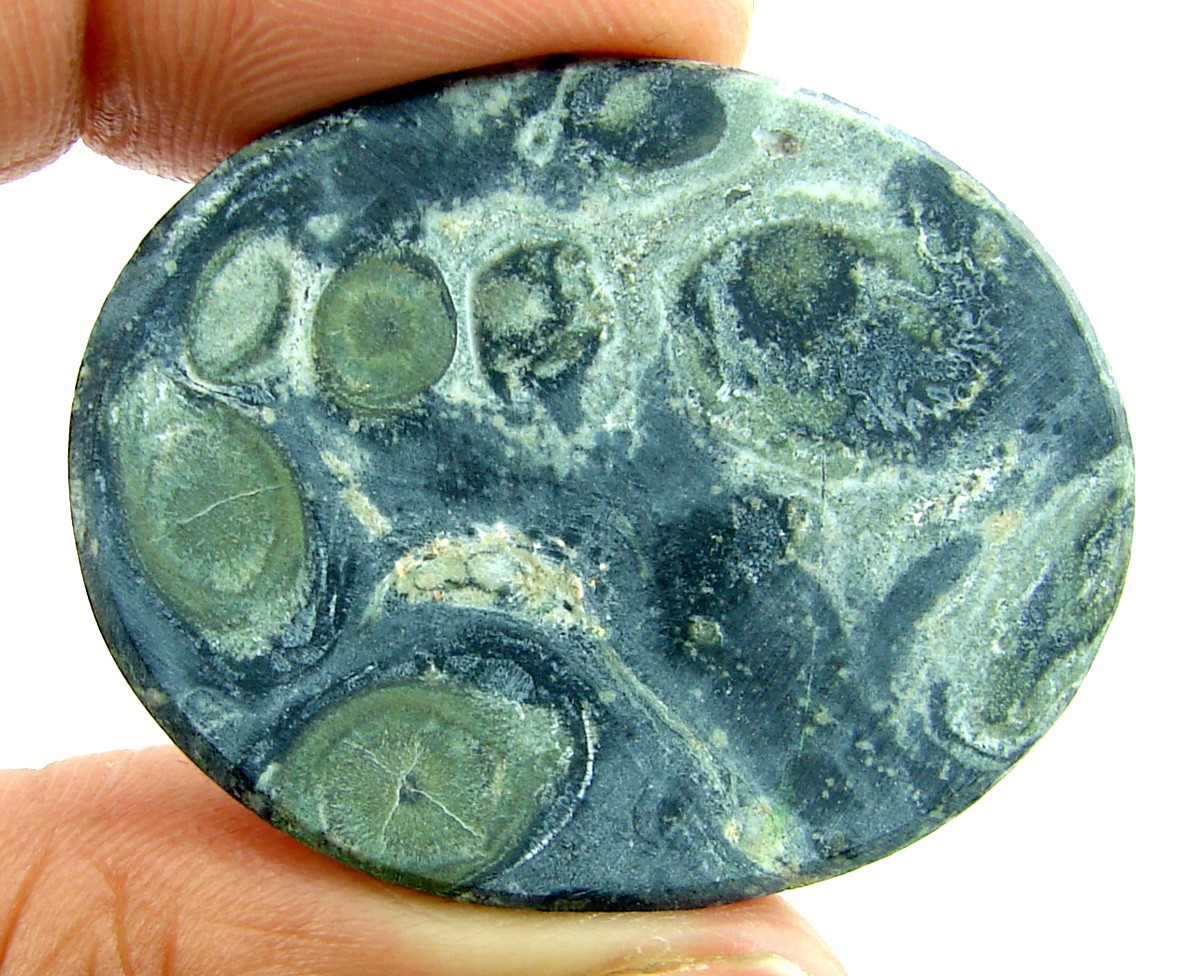 53.15 Ct Natural Kambaba Jasper Loose Gemstone Stone Cab Wire Wrap Stone – 2398
