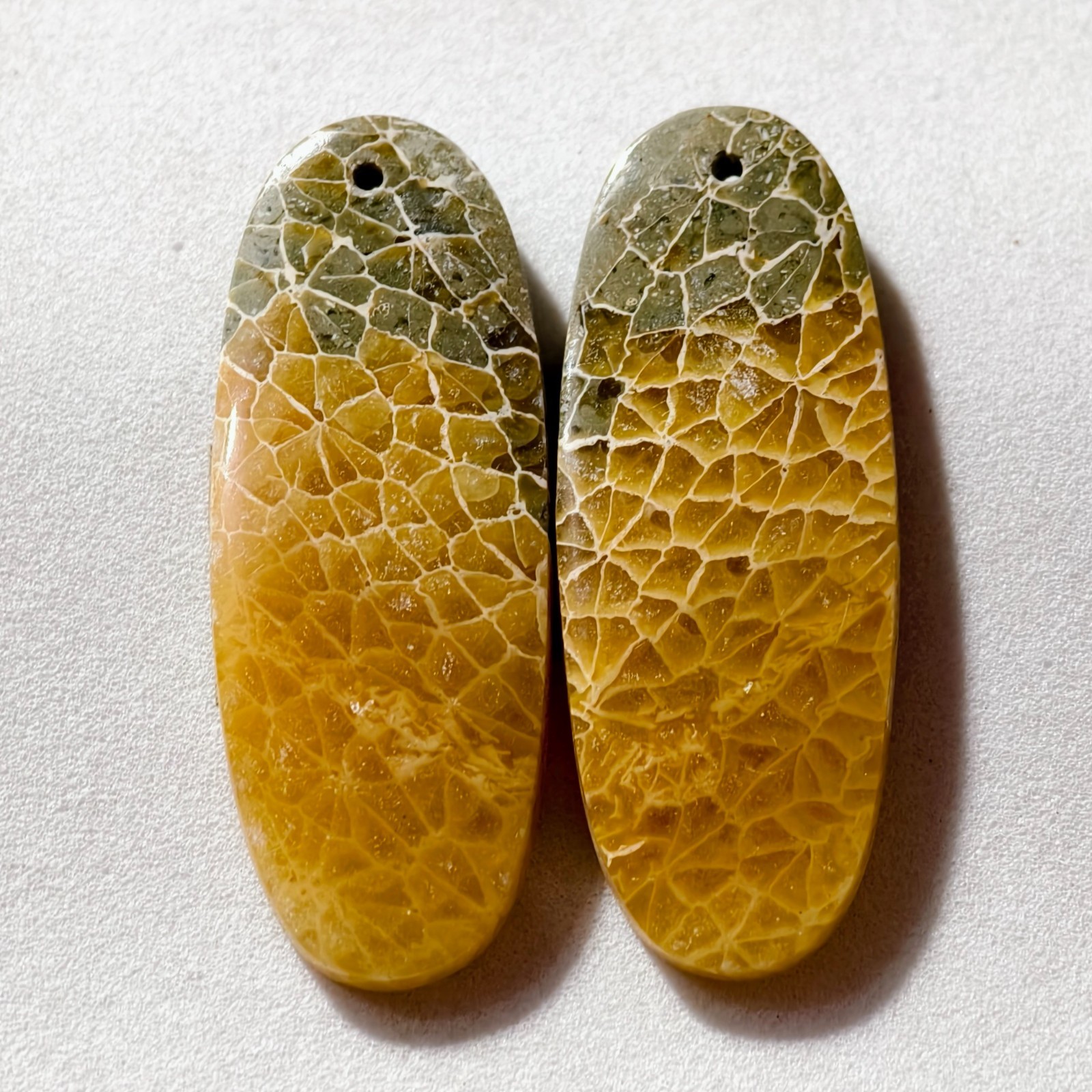 48 Cts Natural Fossilized Coral Drilled Pair Cabochon Gemstone 39.6 X 15.1 MM