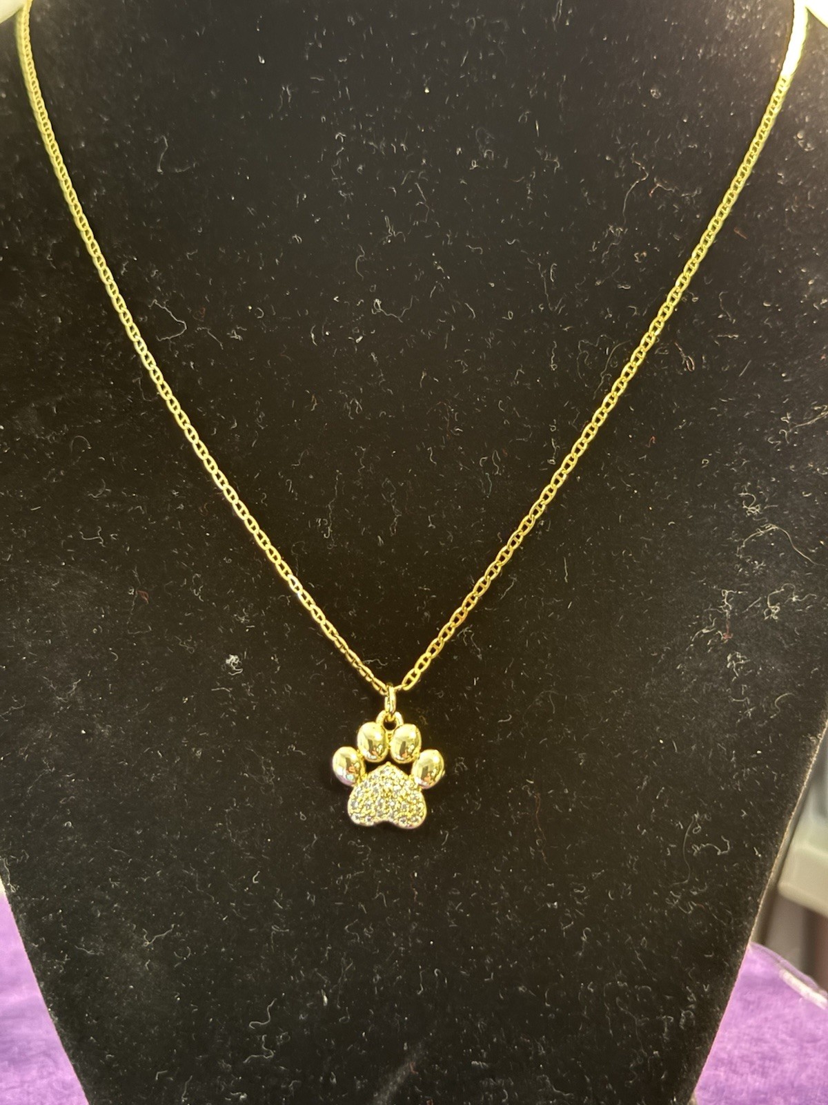 Puppy Paw Gold Color 24 Inch Chain And Pendant