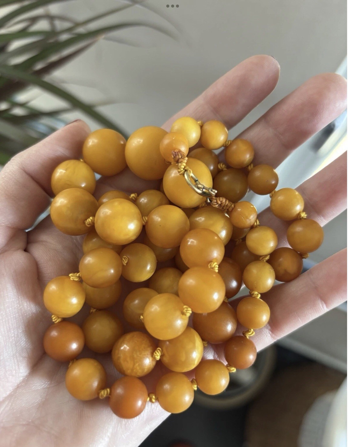 VINTAGE NATURAL BALTIC EGG YOLK BUTTERSCOTCH AMBER NECKLACE BEAUTIFUL SPHERE 55g