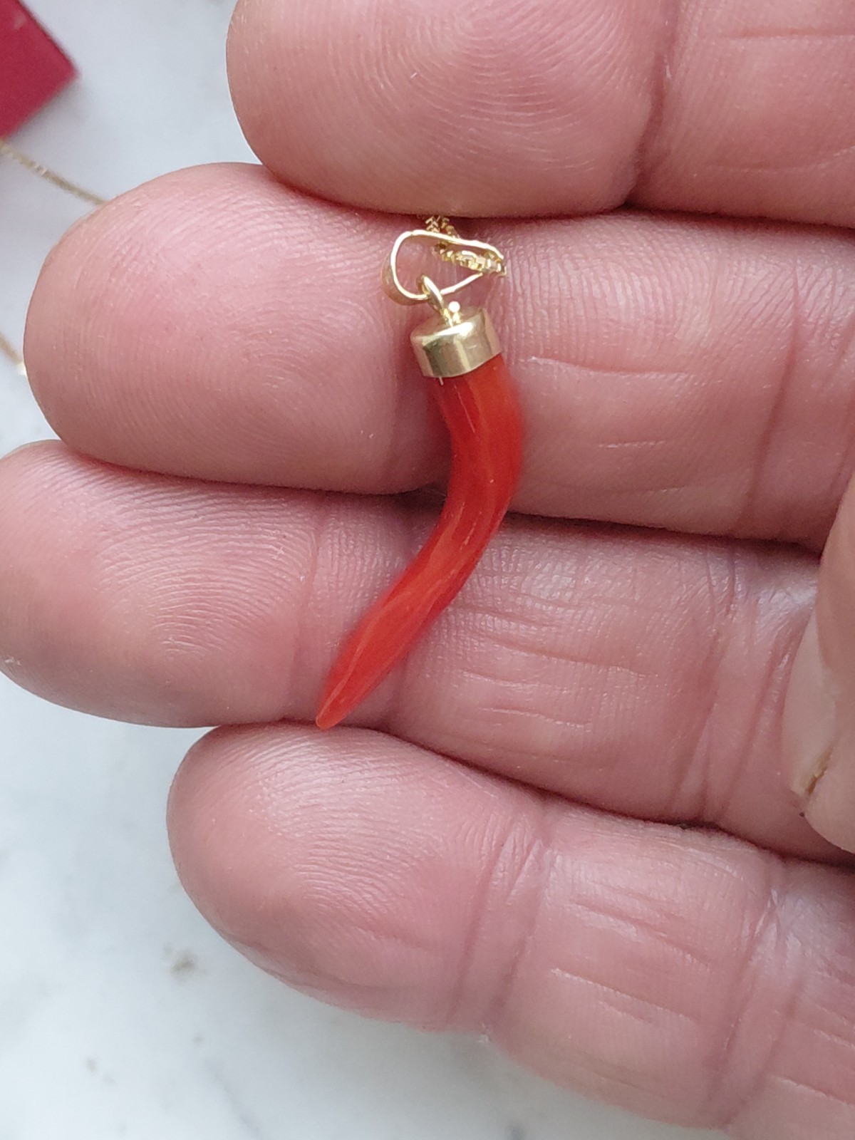 SARDINIAN RED CORAL HORN NECKLACE + AMULET ON SILVER,925