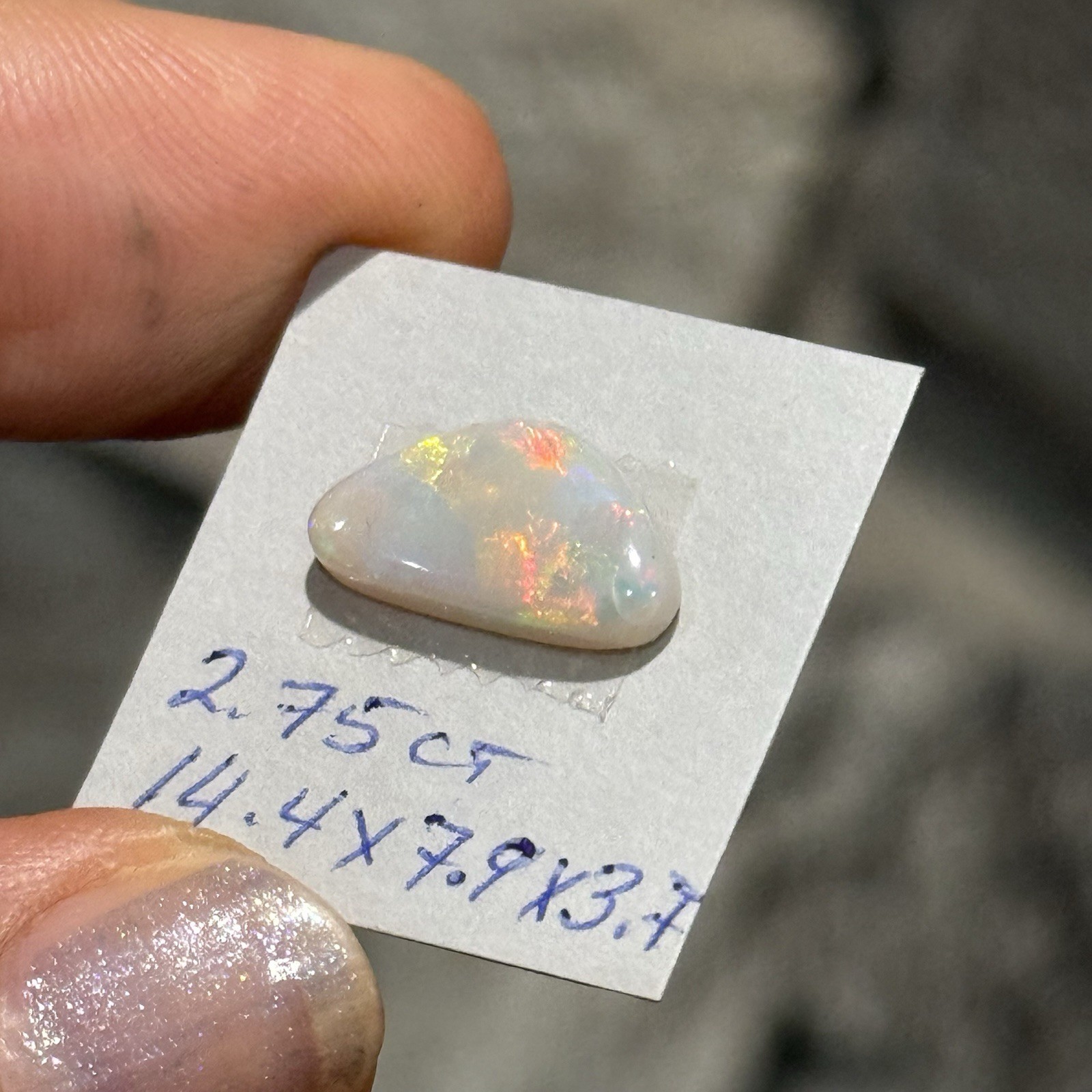 2.75ct 14.4×7.9×3.7mm Lightning Ridge Australian Crystal Opal Cabochon Gem
