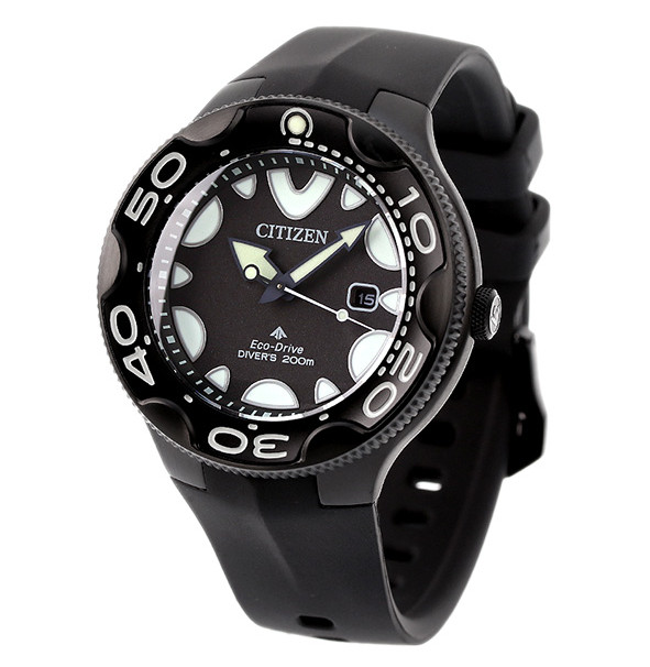 Citizen Promaster BN0235-01E Orca Diver Black Dial Watch