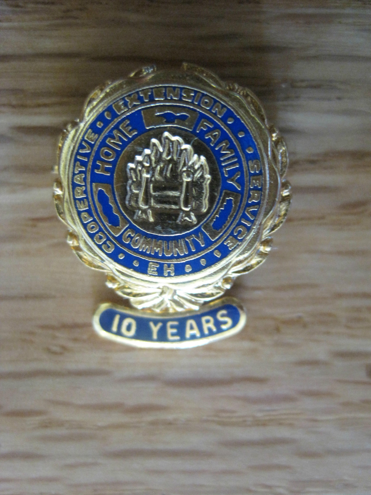 10 Years Cooperative Extension Service 3/4″ Award Pin