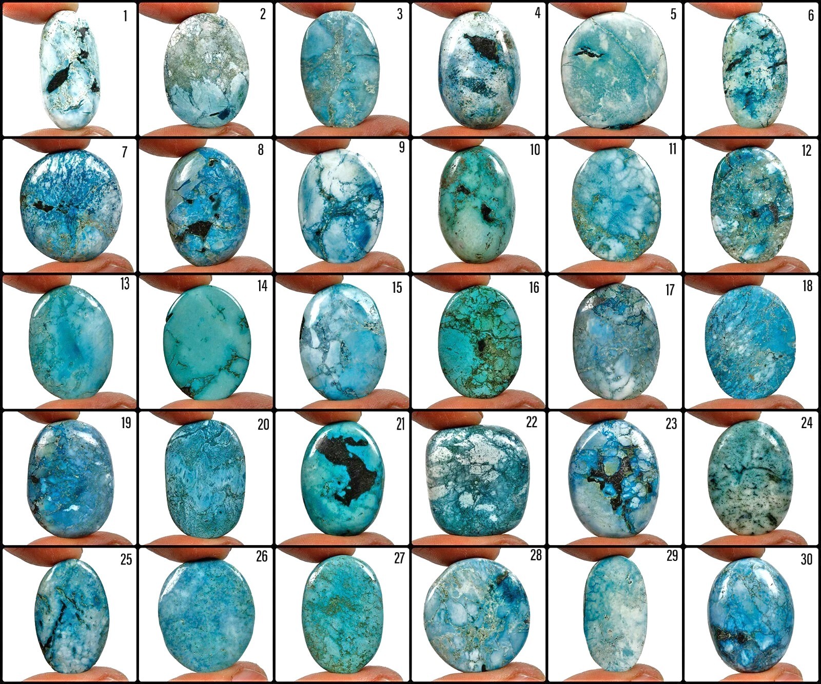 1467 Ct/30Pcs Natural USA Spiderweb Turquoise Design Mix Cab Loose Wholesale Gem