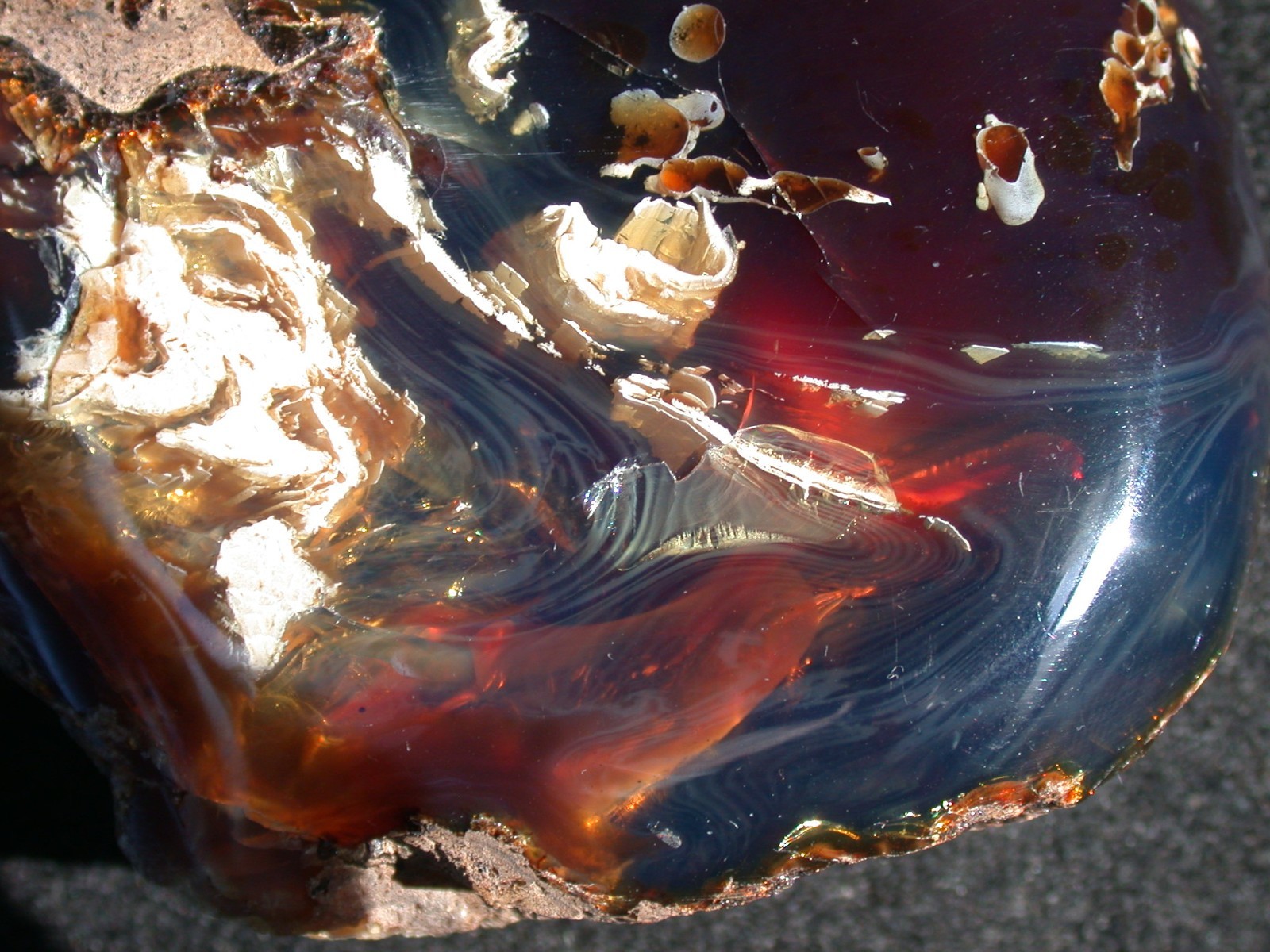 Beautiful BLUE Multicolor AMBER Fossil Gemstone LARGE 132 gram Piece