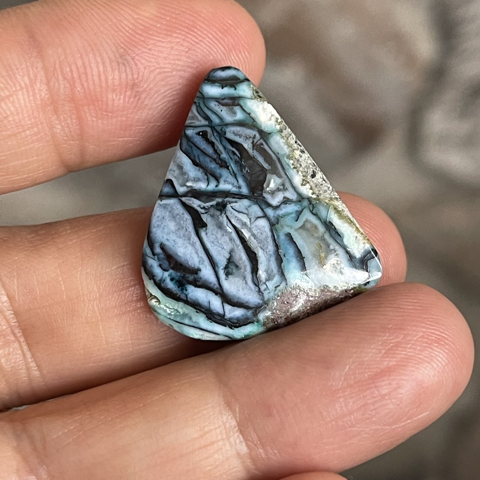 26.5×21.6x5mm Rare Agatized Wood Colorful Chrysocolla Cabochon Picture Stone