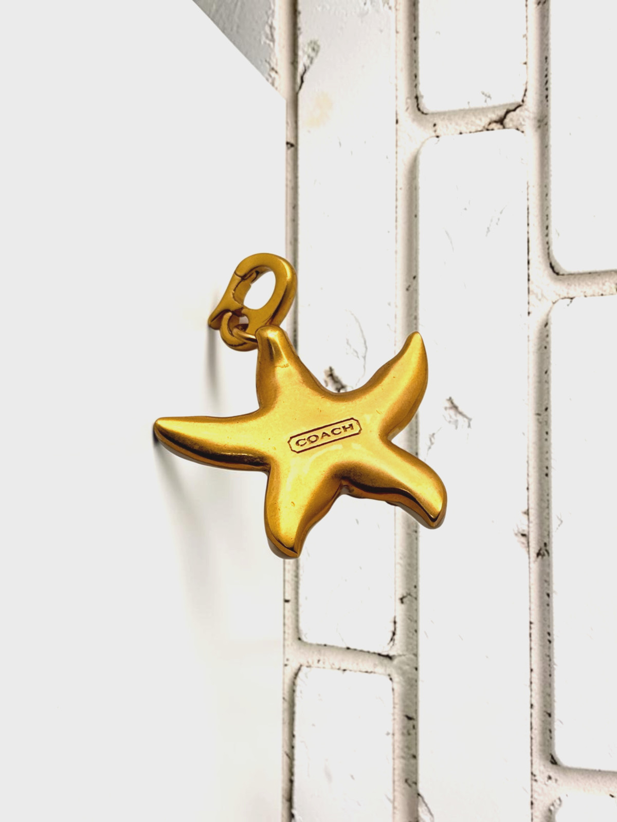 Coach Vintage Enamel White Rhinestone Starfish Charm Leather Short Necklace Y2K