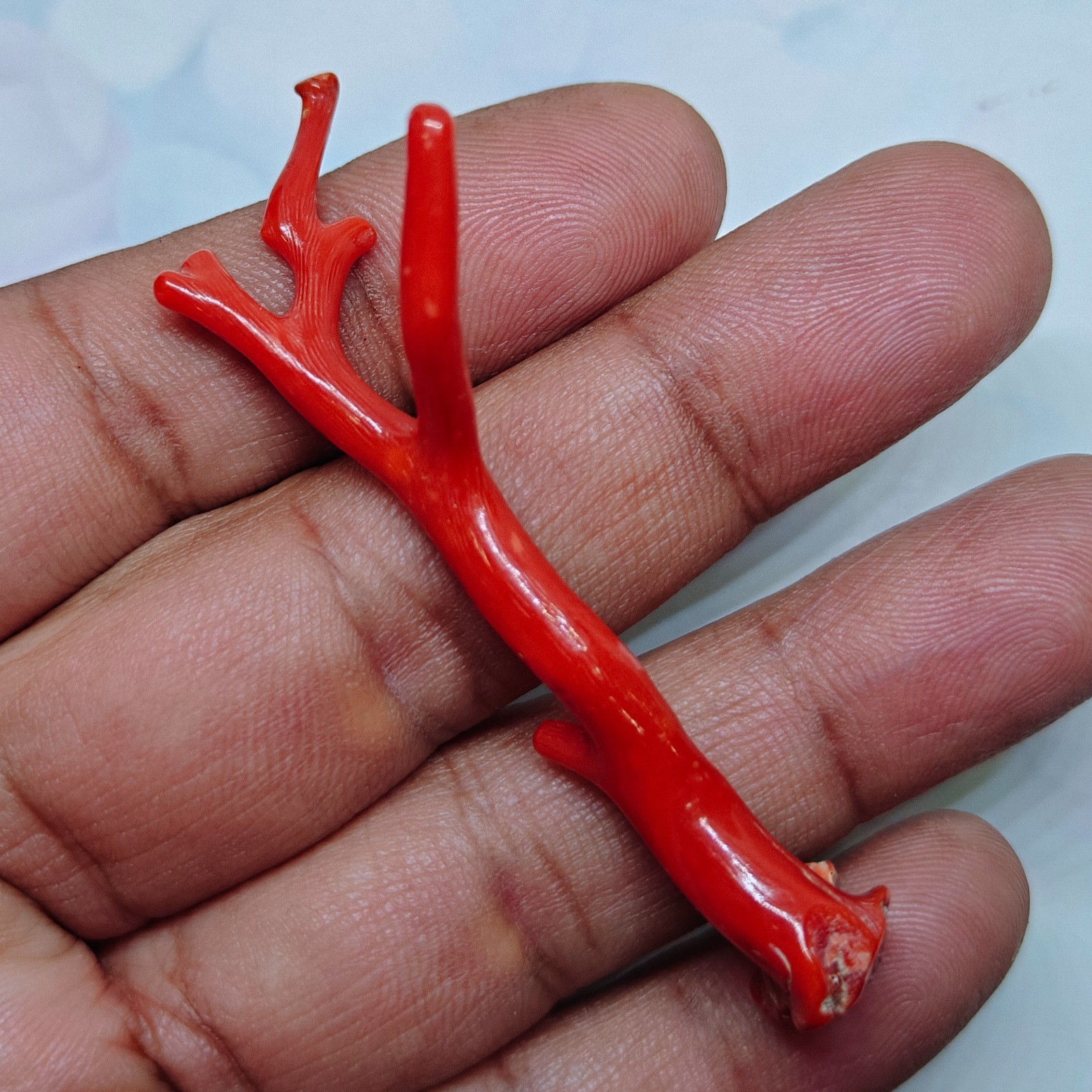 Quality Natural Red Coral Polished Branch Stick Loose Italy Gemstone Sea Coral.