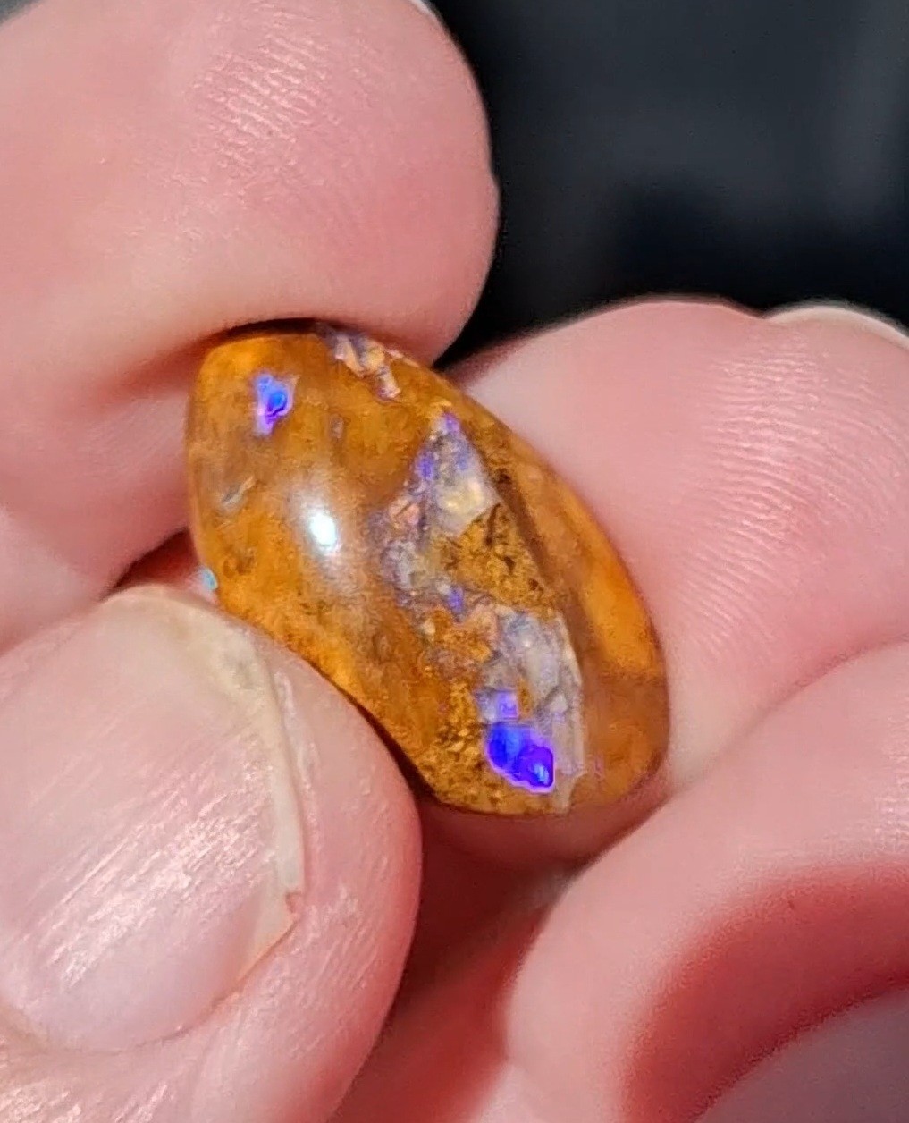 12.5ct Wood replacement Qld boulder opal. Vibrant iridescent blue & purple flash