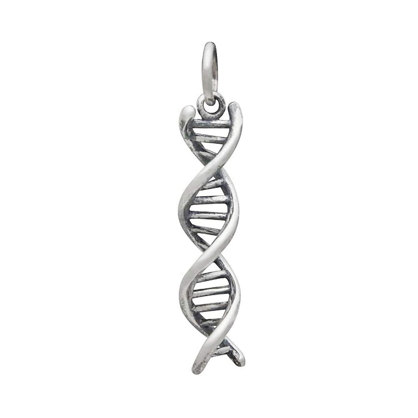 DNA Double Helix Gene Genetics Biology Science 3D 925 Sterling Silver Charm