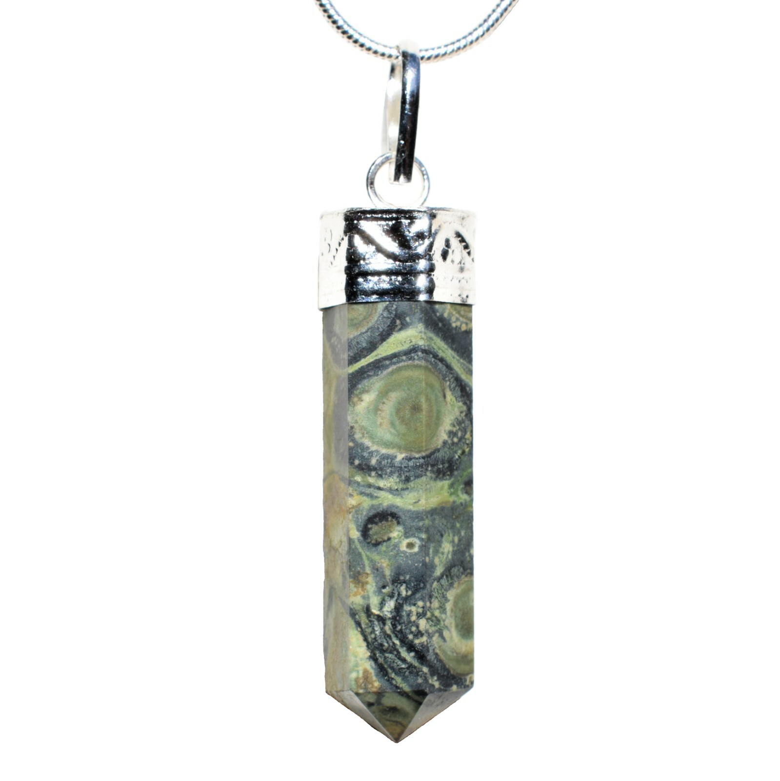 Himalayan Kambaba Jasper Crystal Pendant + 20″ Stainless Steel Chain & Charger