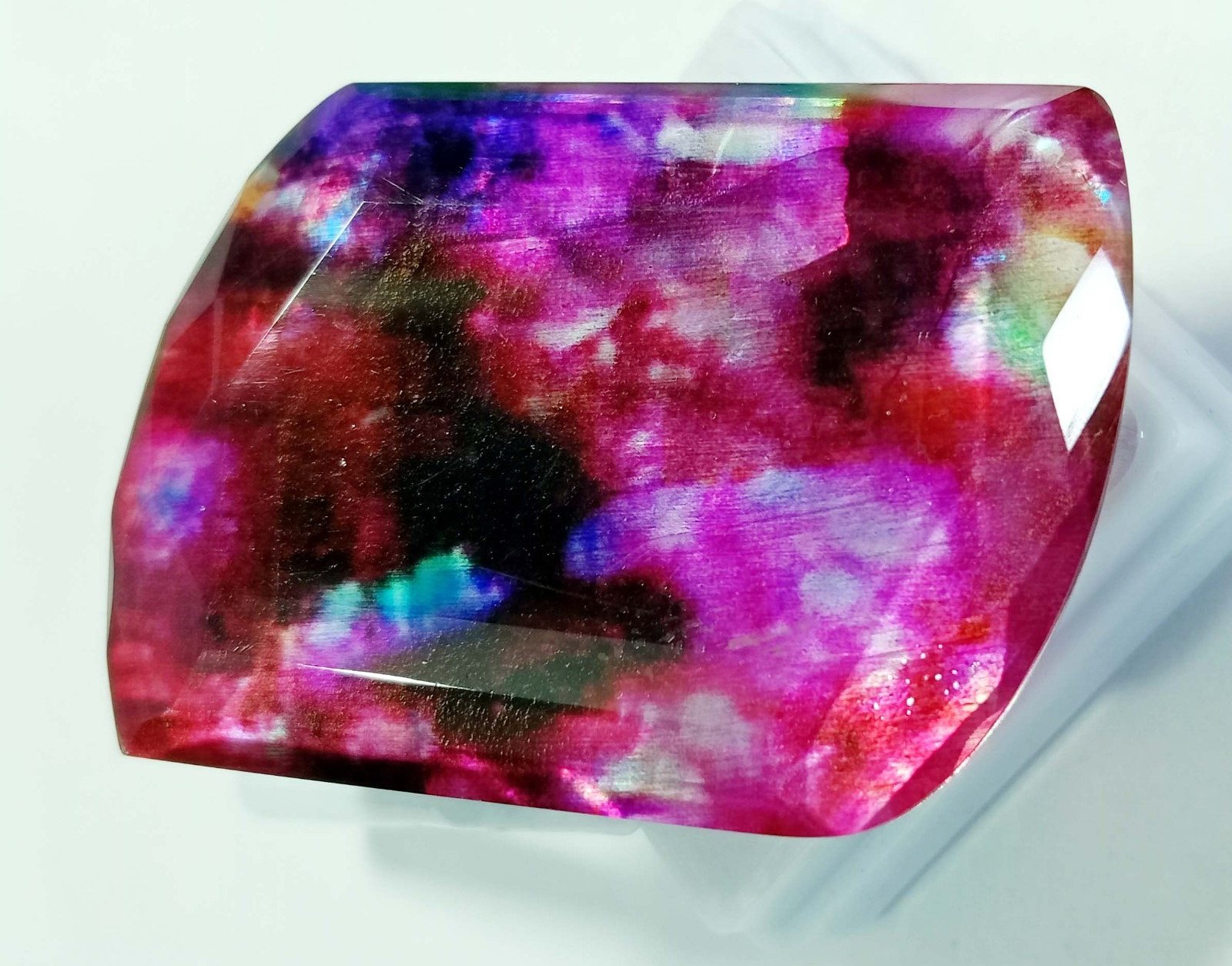 Fancy Cut Natural Opal-Like Organic 60+ Ct Ammolite EGL Certified Loose Gemstone