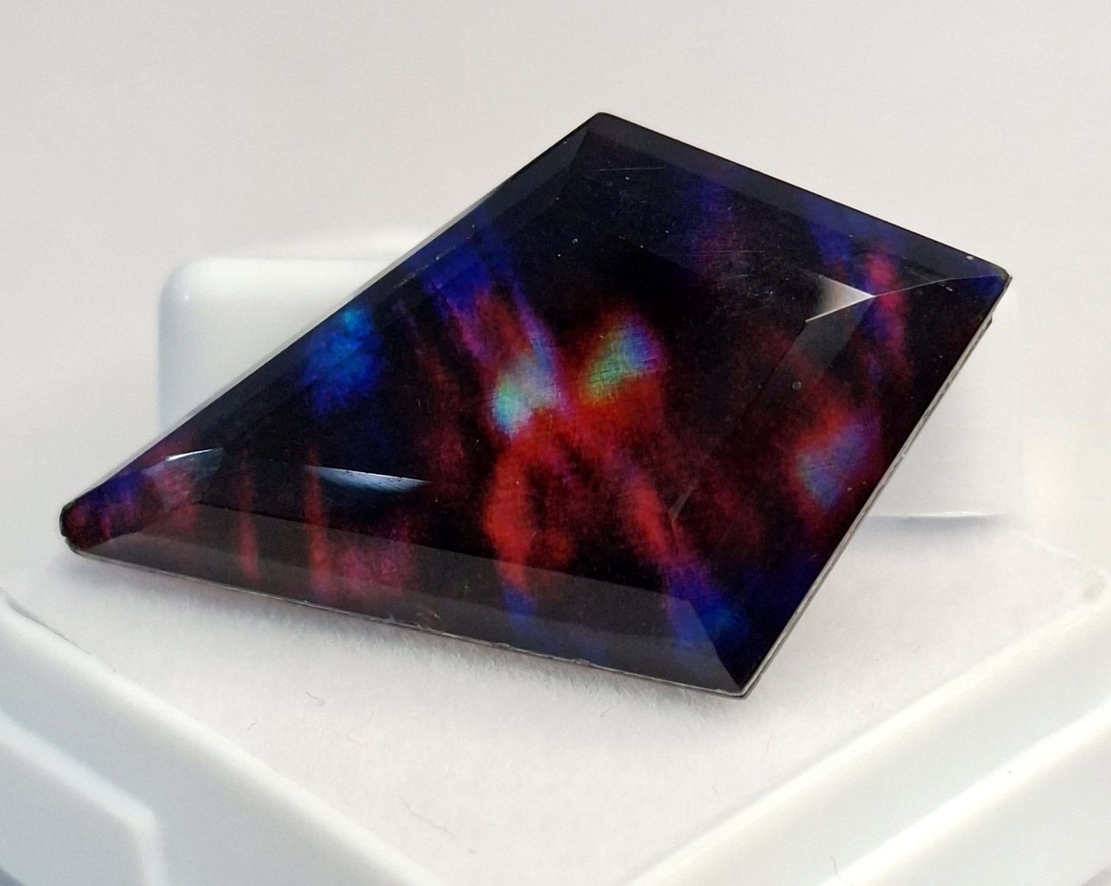 Certified Bi-Color Ammolite Fancy Cut 22-24 Ct Natural Loose Gemstone RK878