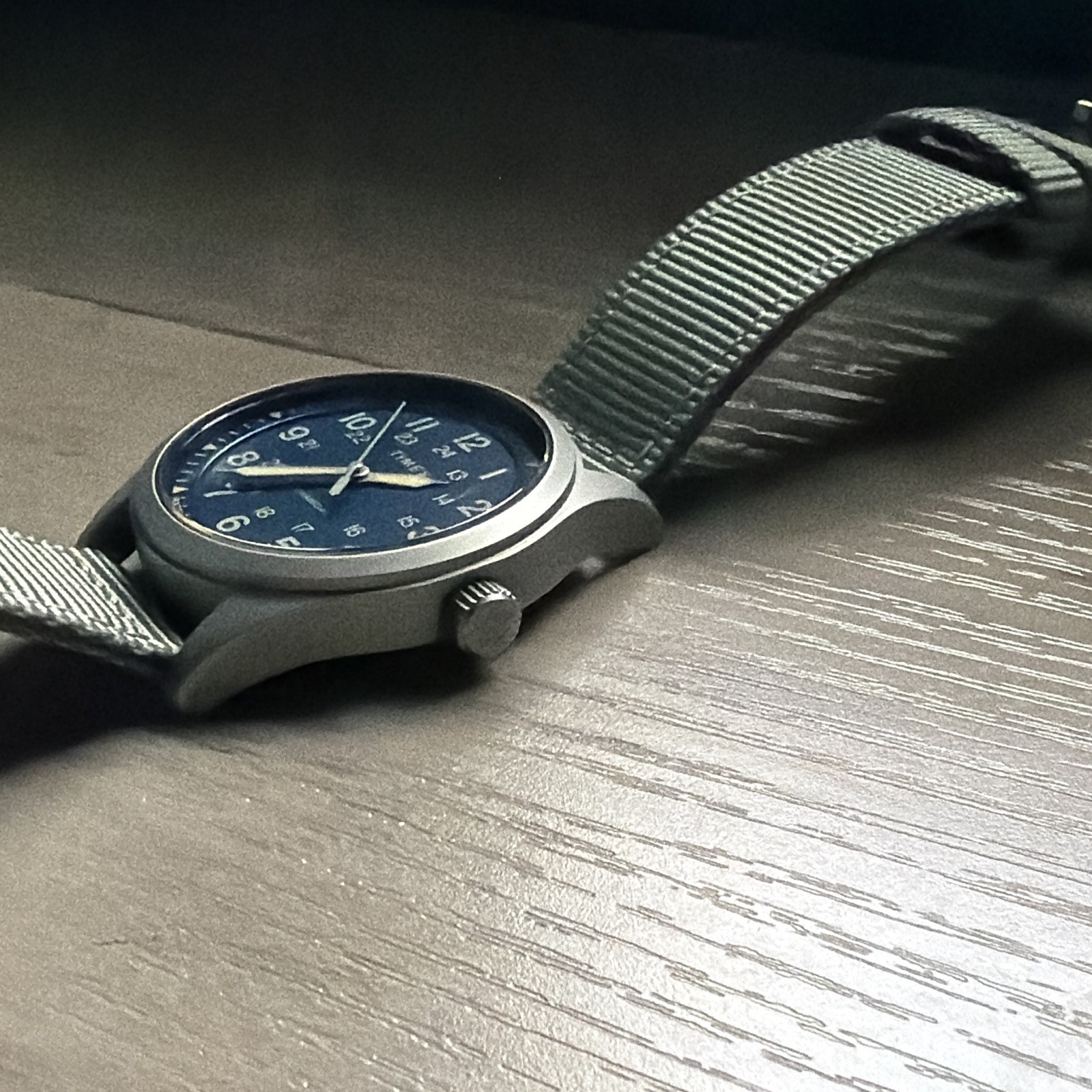 Timex Expedition North Mechanical 100m Blue 24-Hour Dial Gray Nylon Strap